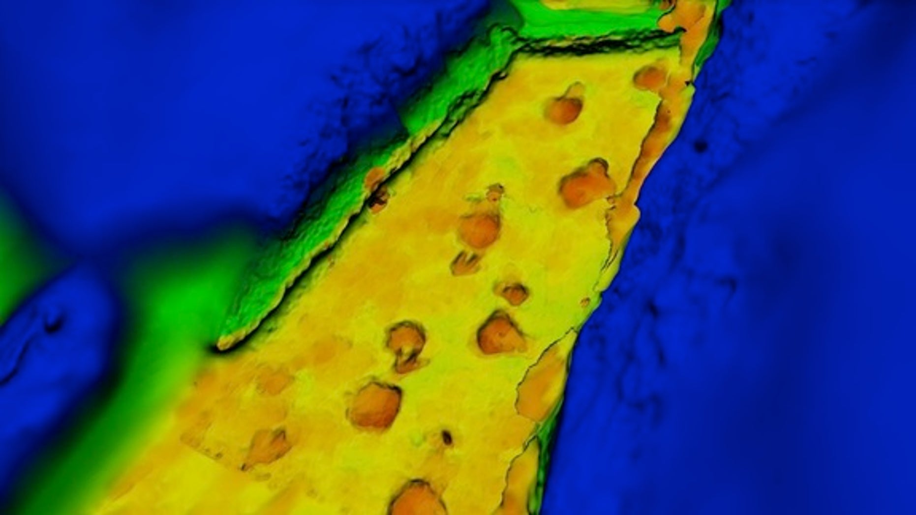 A 3D reconstruction of a dinosaur trackway from Texas shows a sauropod followed by a theropod -- though it's not clear that the theropod was really right on the first dinosaur's tail.