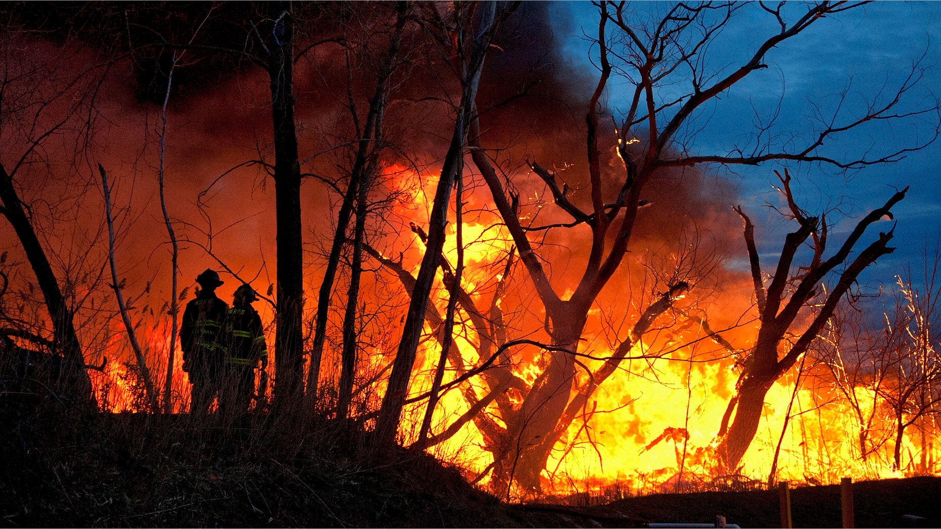 CARLSTADT, NJ - APRIL 11: Firefighters battle a brush fire in the Meadowlands near Metlife Stadium on April 11, 2012 in Carlstadt, New Jersey. Fire departments from around the area were on hand to bring under control one of many brush fires that have broken out in New Jersey and New York. Dry conditions, low humidity and strong winds are some of the culprits to the spreading fires. (Photo by Michael Bocchieri/Getty Images)