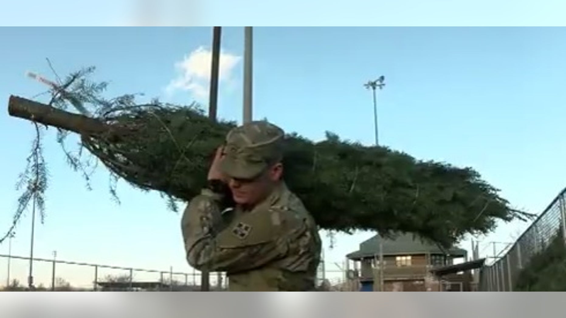 A special program is giving at least 500 military families free Christmas trees.