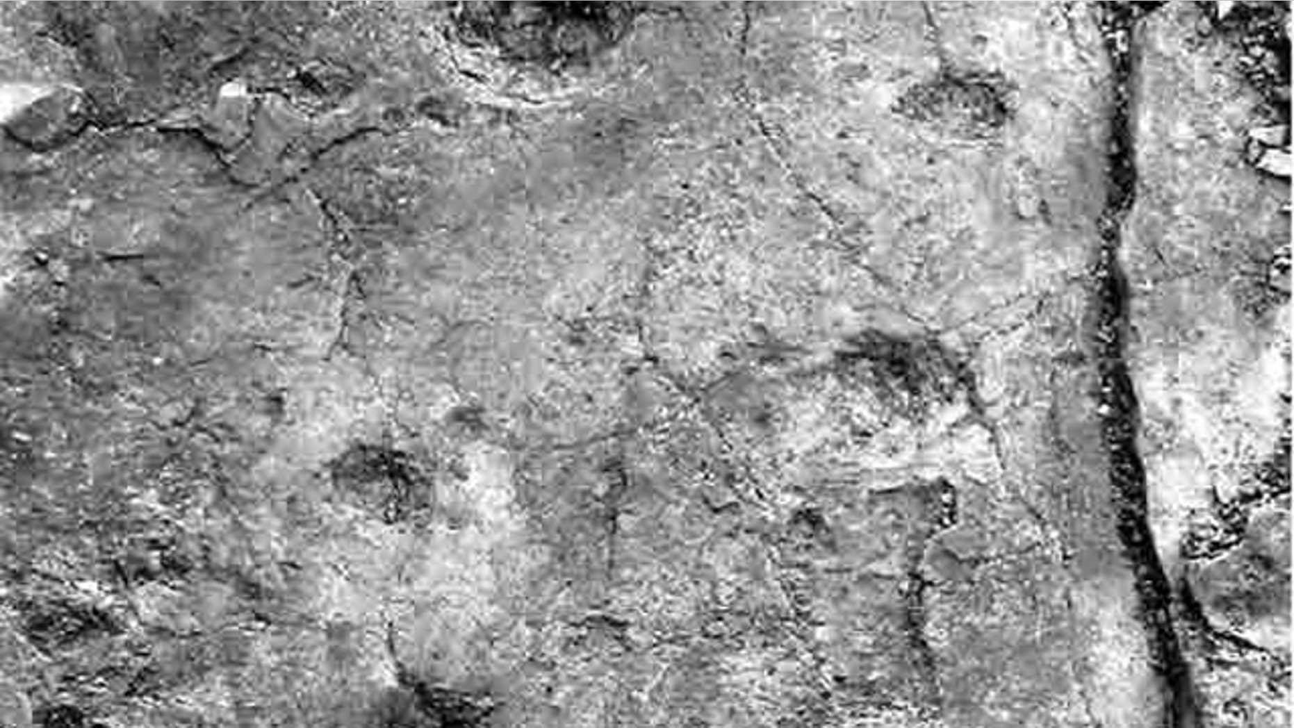 A track of fossilized 'hand' and 'foot' prints likely were made by a four-legged creature walking in a diagonal stride pattern, traveling from bottom to top as shown in the image.