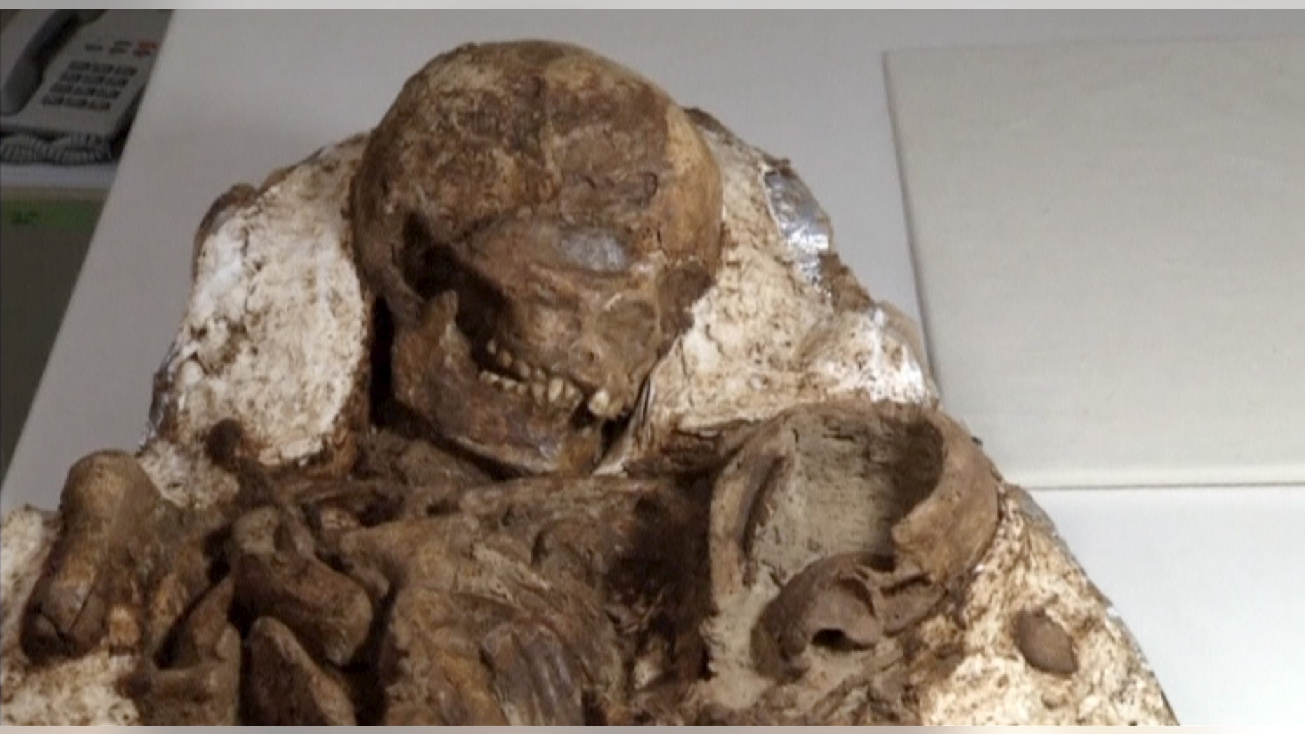 A view of a fossil of a mother and baby in Taichung City, Taiwan, April 26, 2016 in this still image taken from video. (REUTERS/via Reuters TV)
