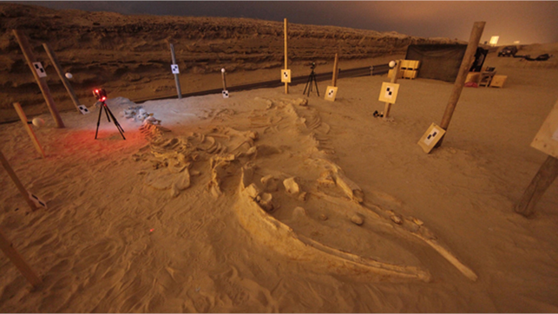 The researches collected 3D scans of the bones to analyze back in the lab.