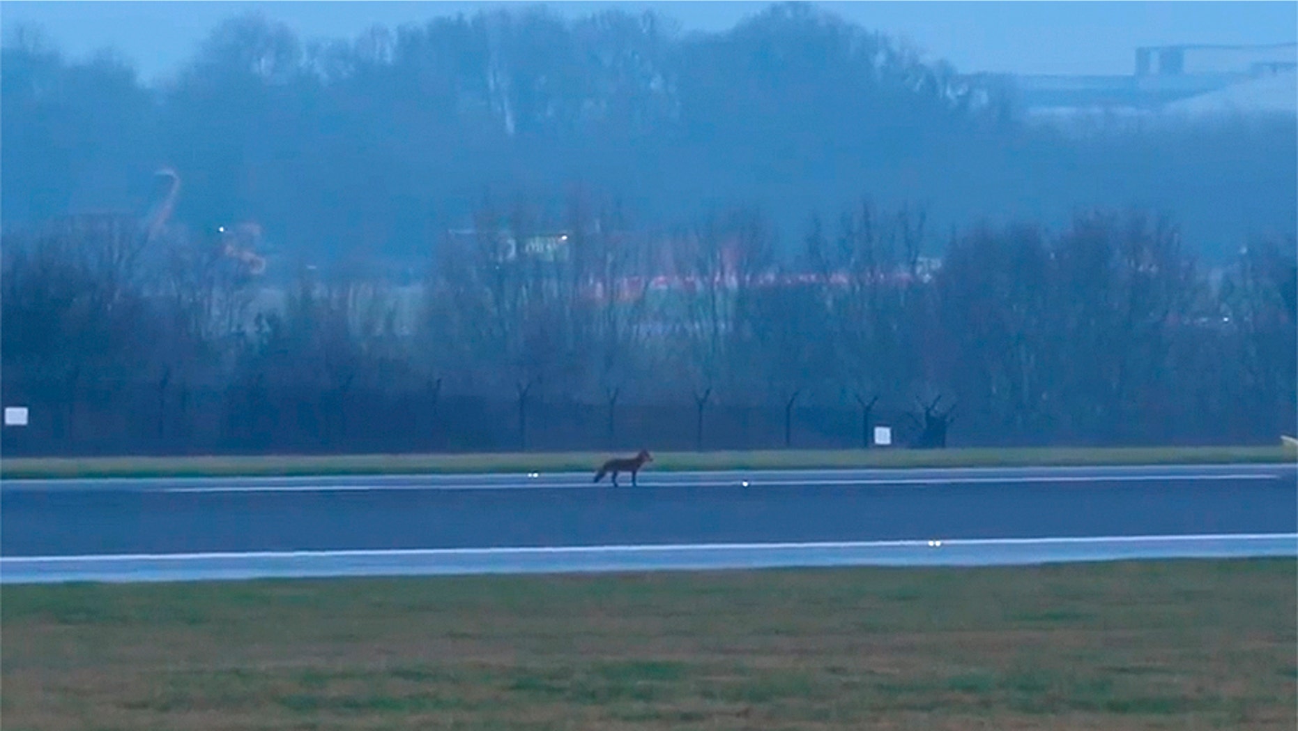 A fox on the runway reportedly halted operations at Manchester Airport in England.