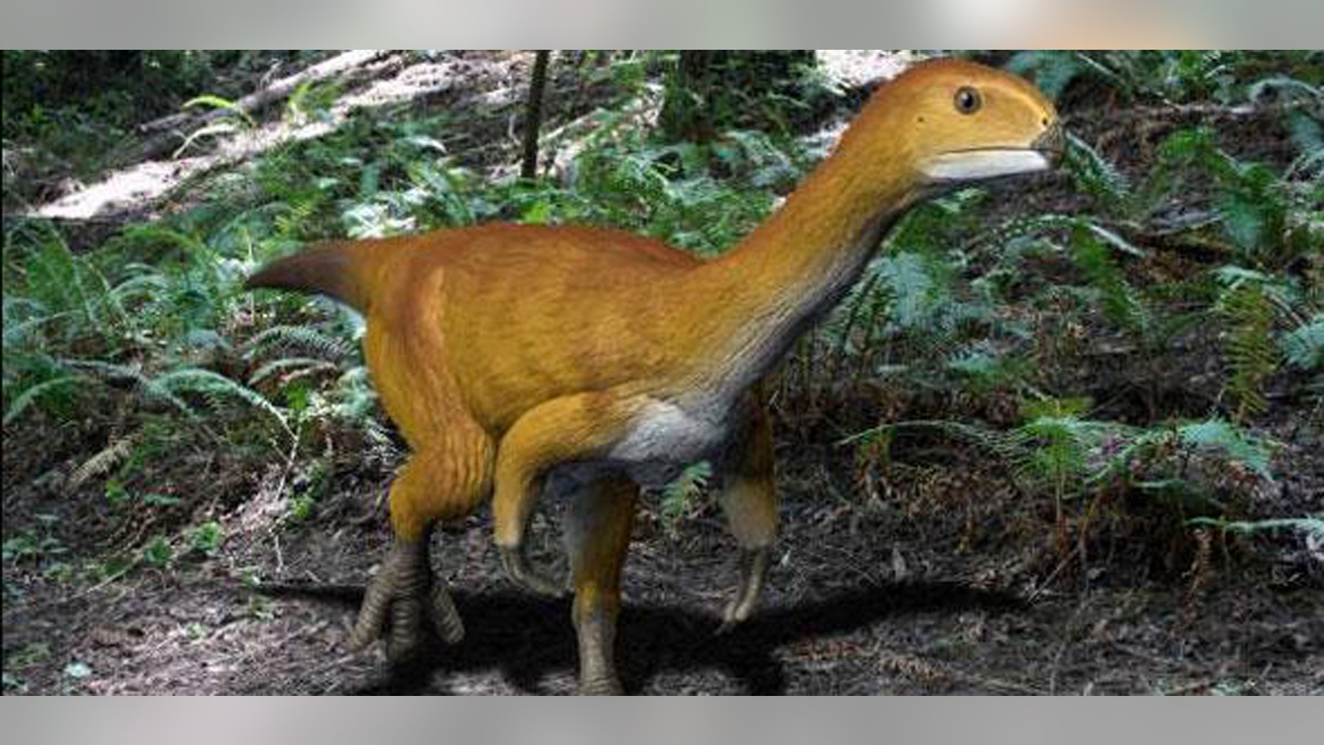 Life reconstruction of Chilesaurus diegosuarezi (Credit: Nobu Tamura)