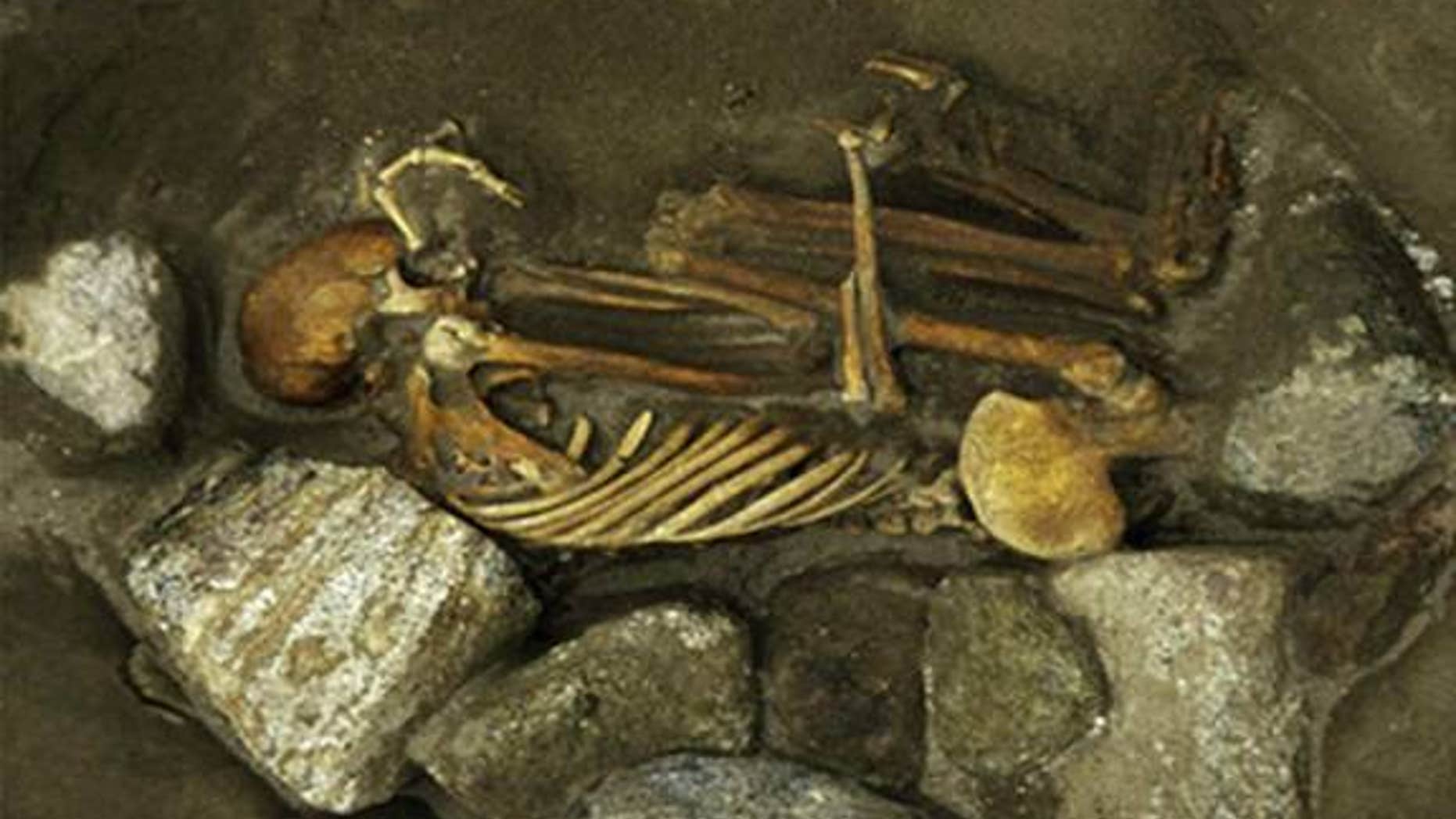 The adult female skeleton from Cladh Hallan. This mummy's lower jaw, arm bone and thighbone all came from different people.
