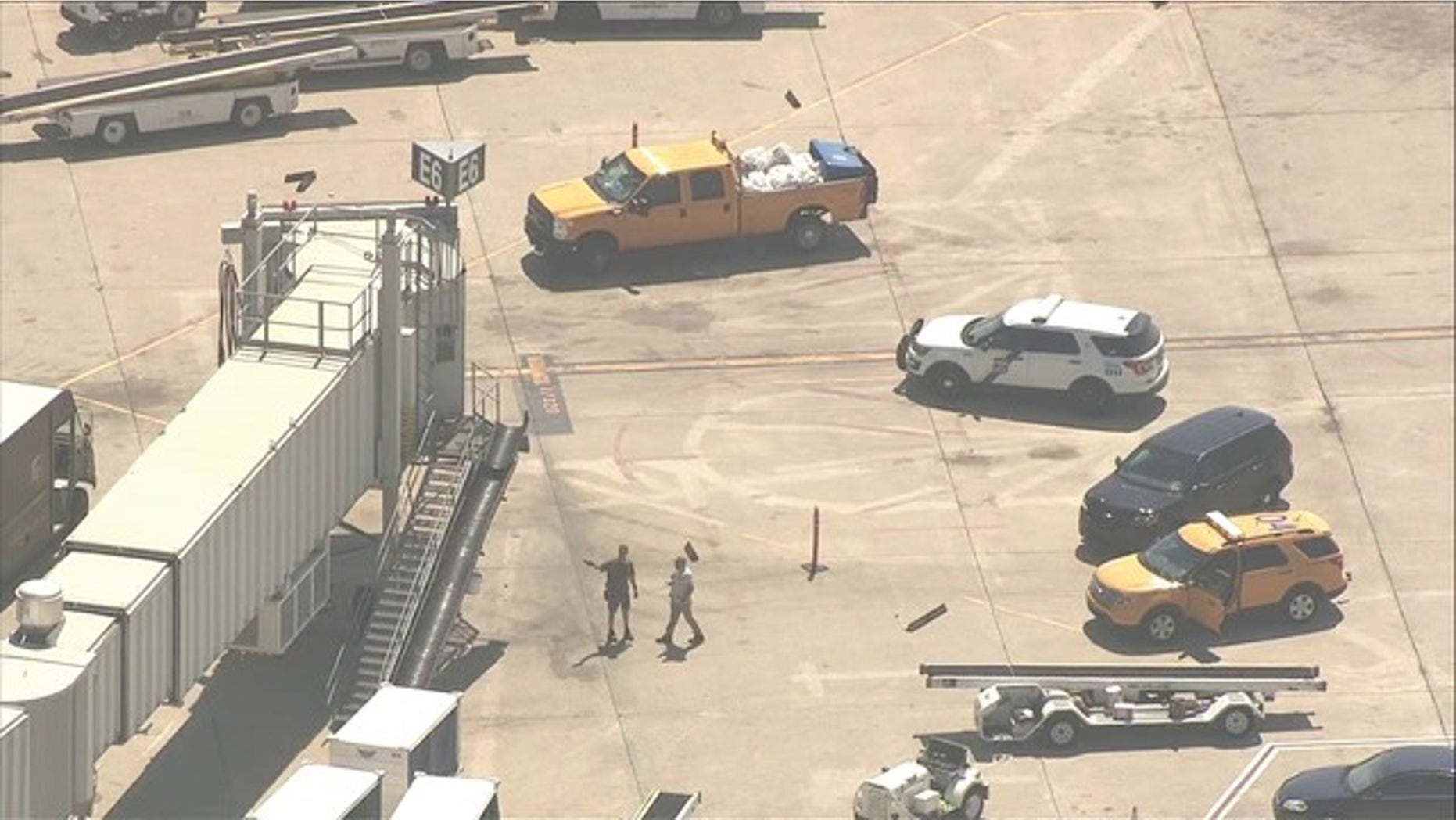 A Frontiers Airlines employee was stabbed by a coworker on Thursday, police said.