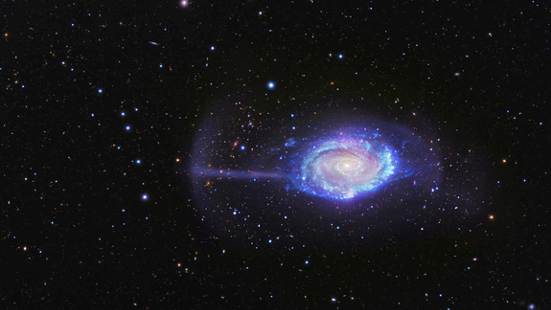 The Umbrella Galaxy was named after the wispy feature seen on the left here that looks like a cosmic parasol. This "umbrella" is actually debris from a small galaxy that has been shredded apart by gravity. This image combines data from the 0.5-