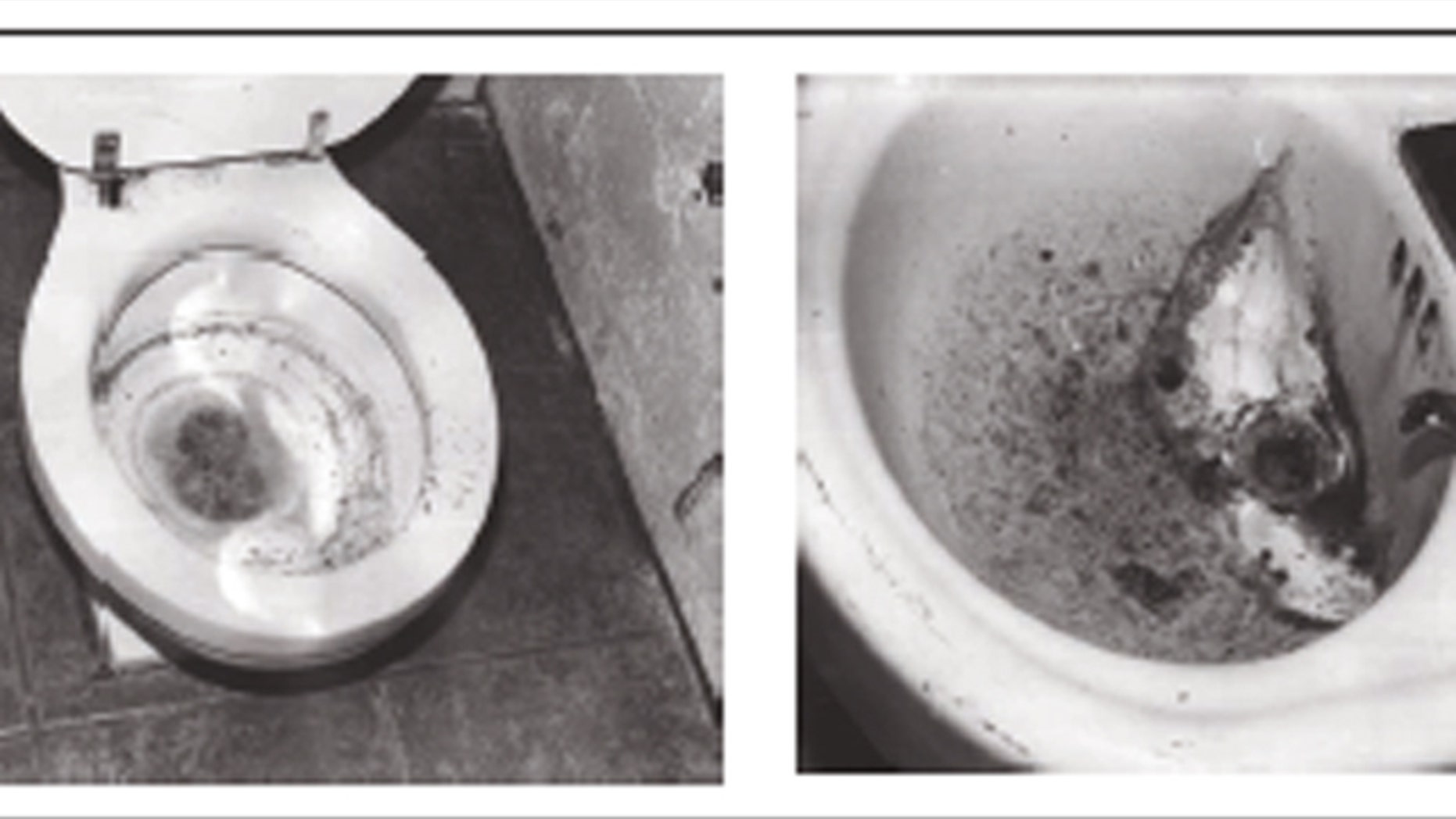 Shown here are pictures of the bathroom used by an elder abuse victim in Missouri. (GAO.gov)