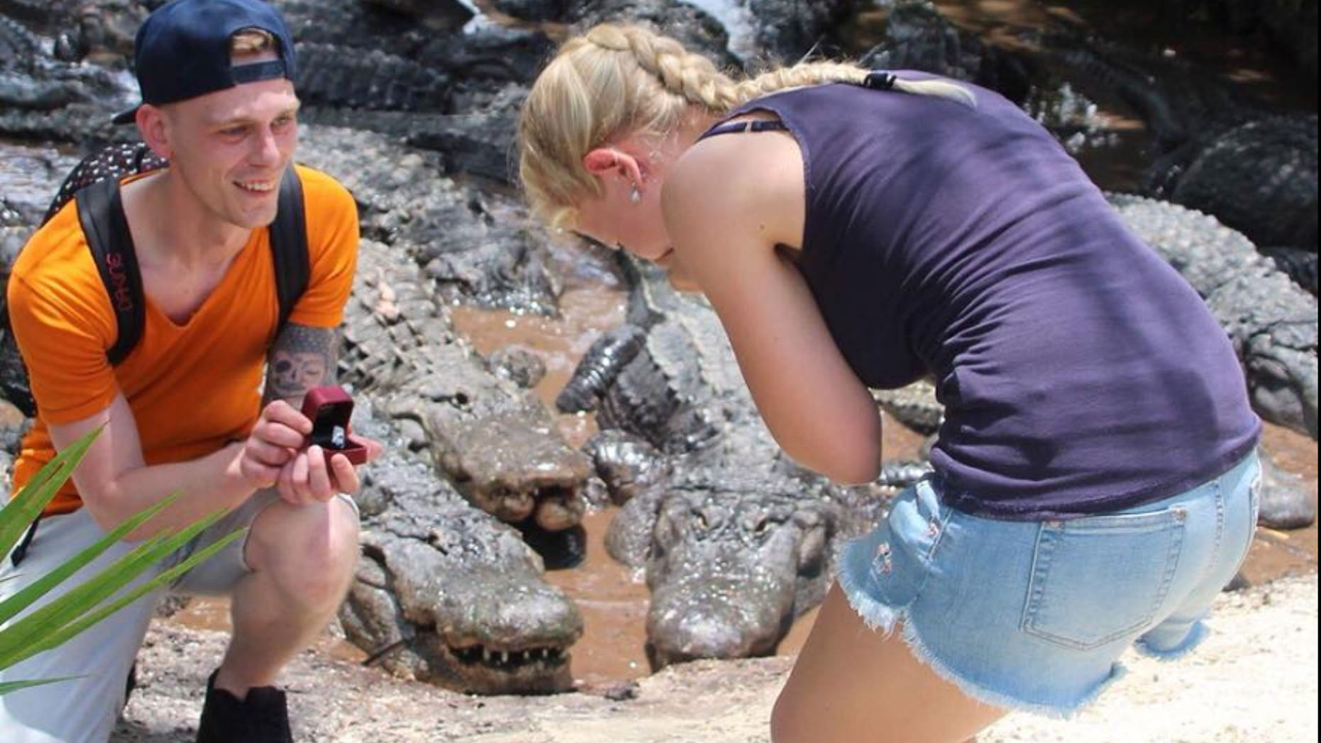 Sam van Reeth can be seen proposing to his now-fiancée, Chana Vranken, at Gatorland Florida.