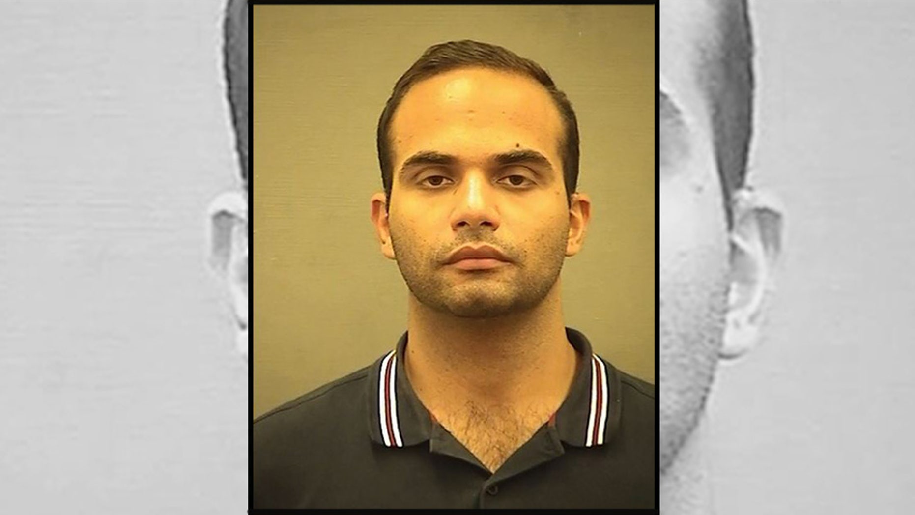 George Papadopoulos pleaded guilty to making false statements to the FBI.