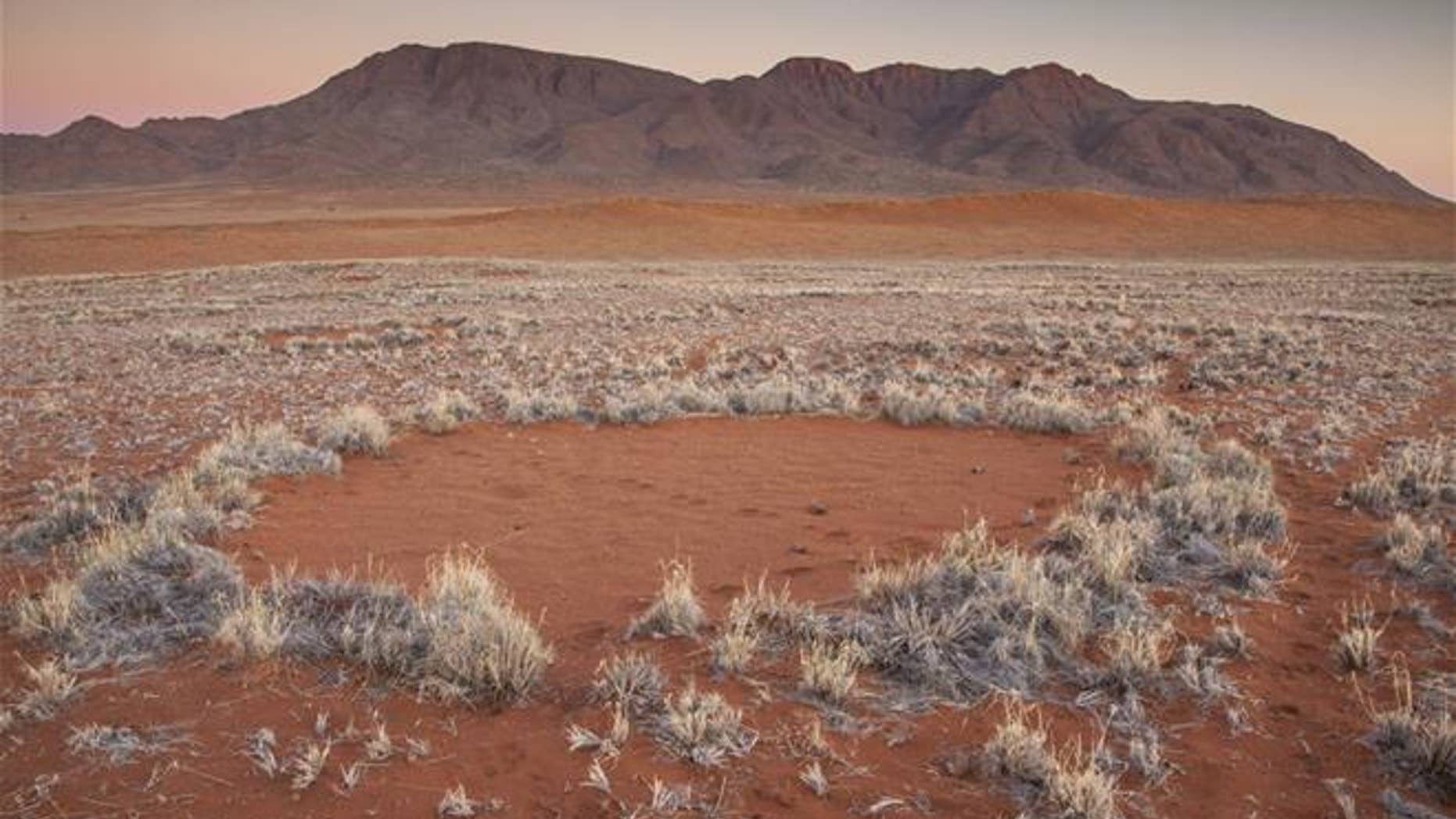 In this photo provided by Jen Guyton, one of the mysterious “fairy circles” in the Namib Desert that dot the area with circular barren patches. (Jen Guyton/www.jenguyton.com via AP)