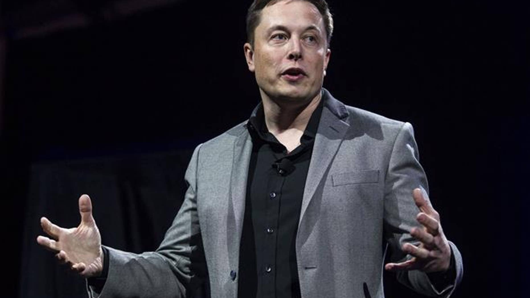 Tesla Motors CEO Elon Musk in 2015.