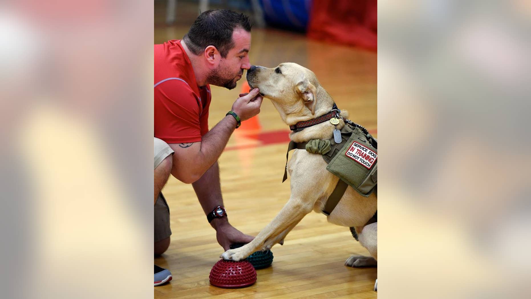An owner gets nose to nose with his service dog.