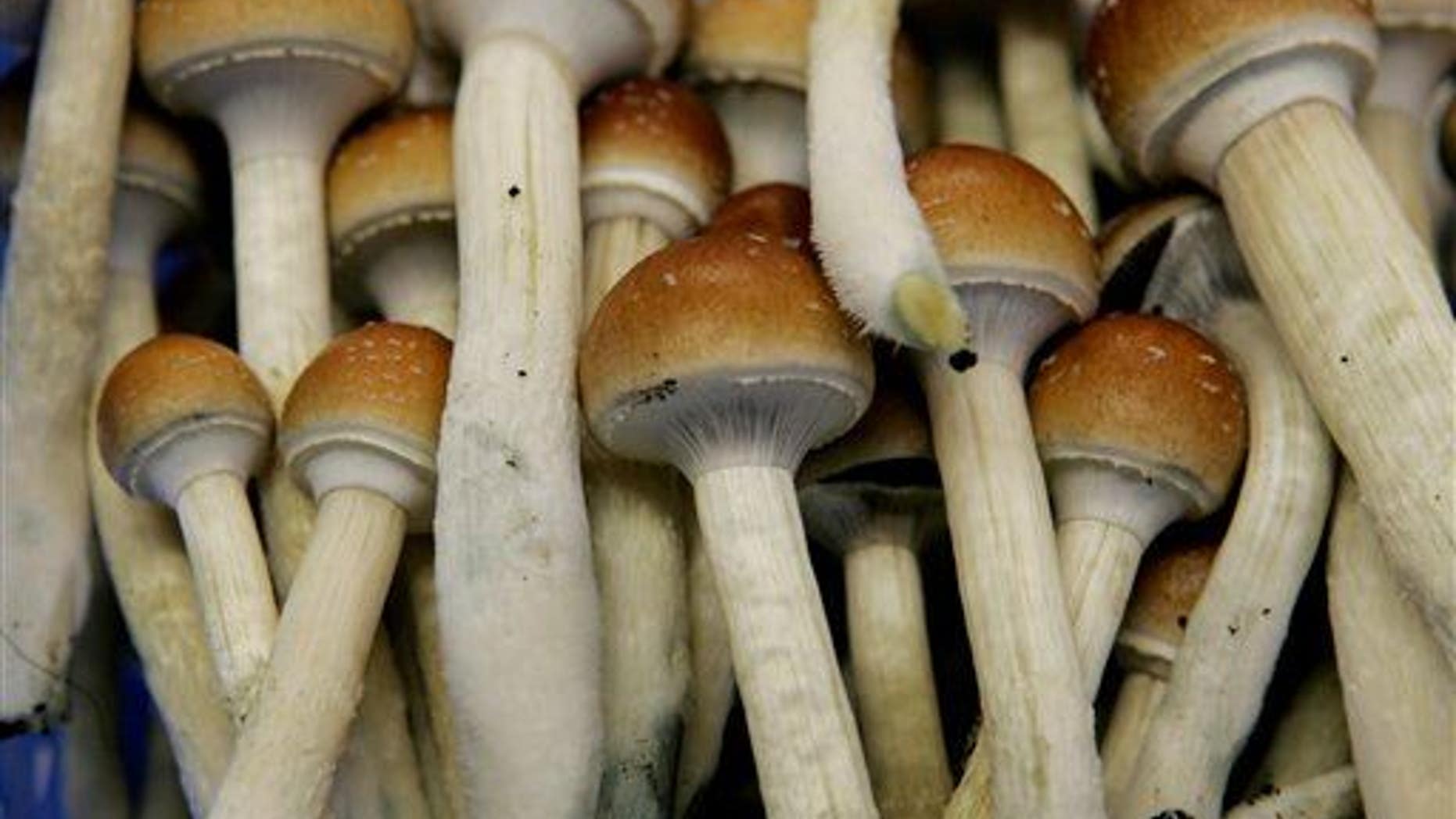 A massive drug survey has labeled hallucinogenic mushrooms as the safest recreational drug in the world
