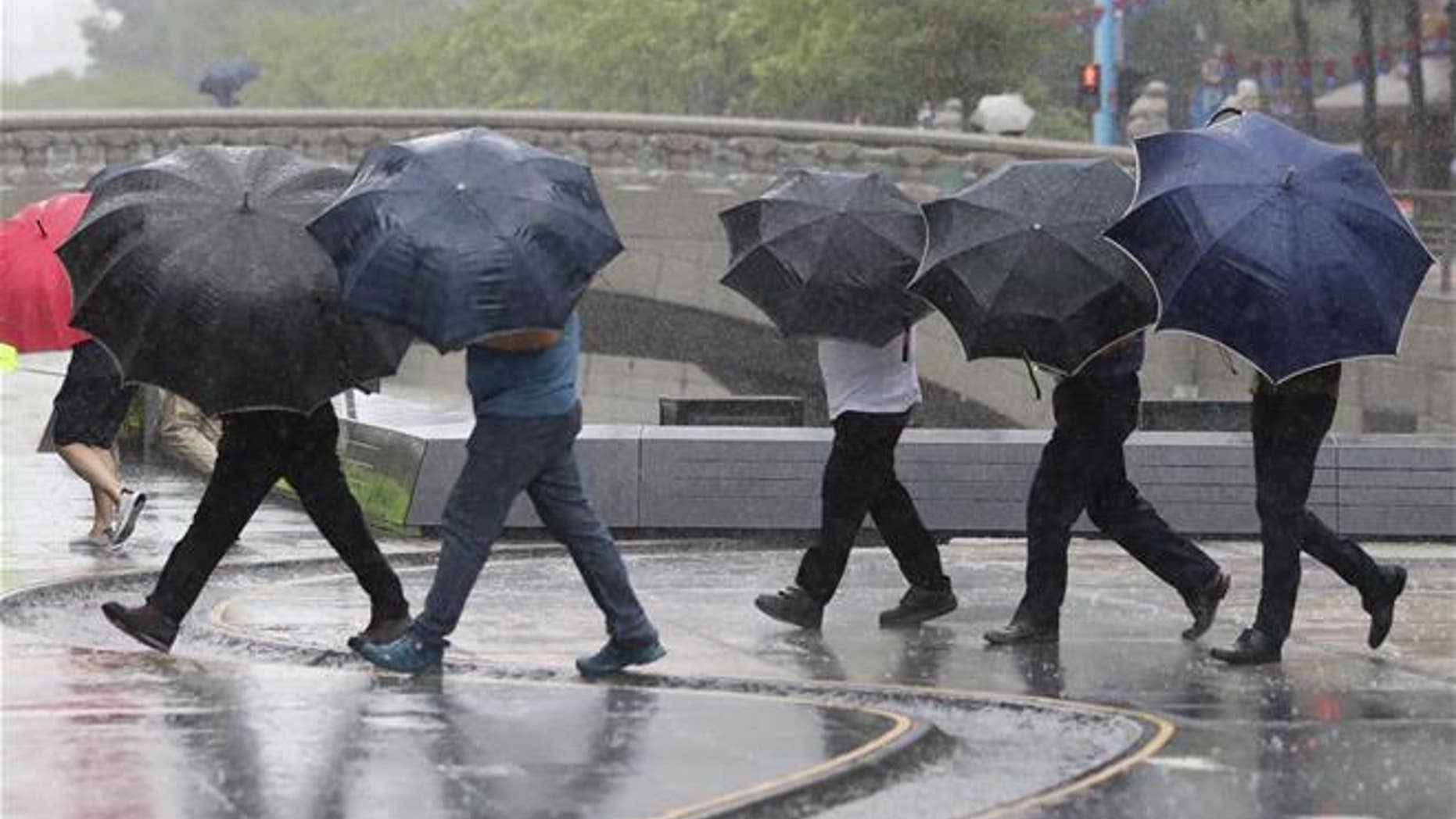 People hold umbrellas in the rain.