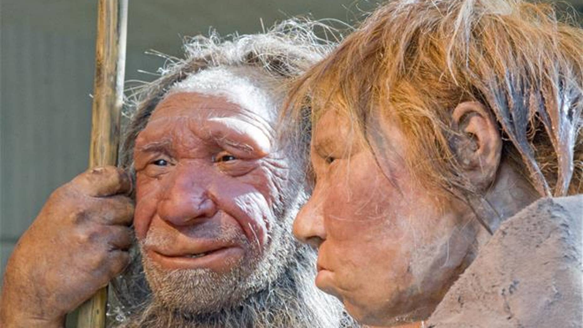 File photo - This March 20, 2009 photo shows reconstructions of a Neanderthal man named 