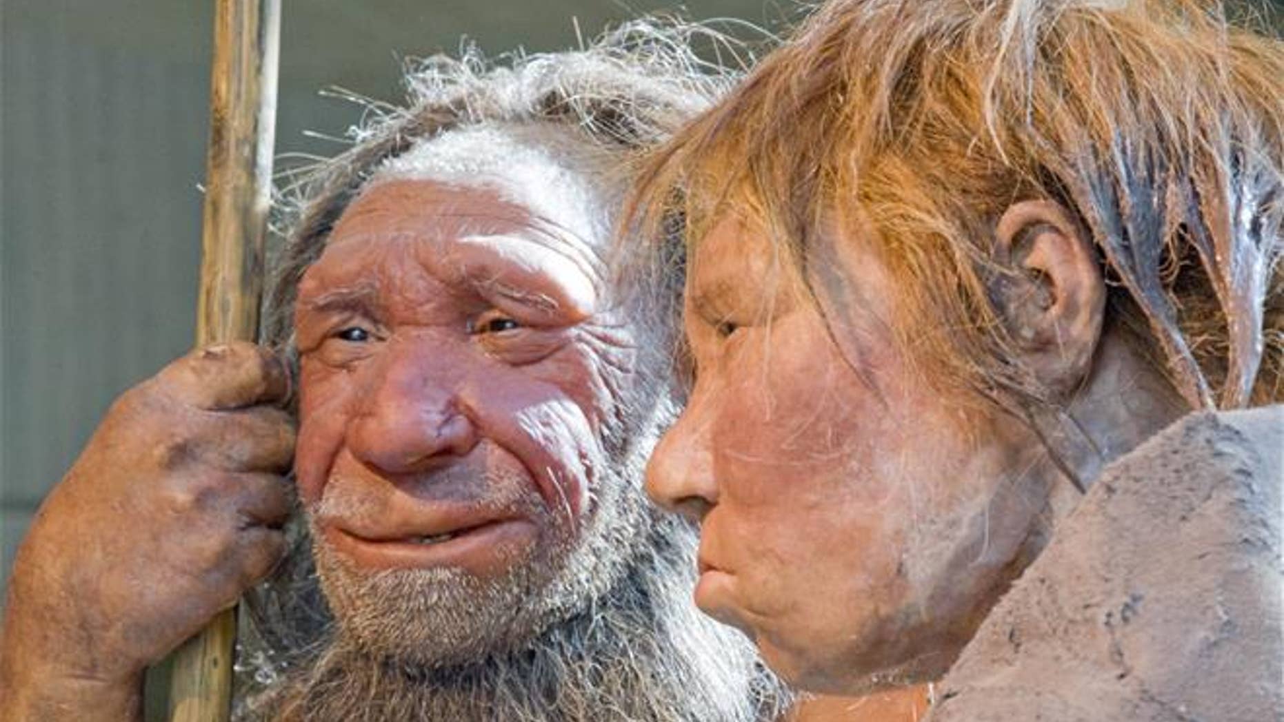 This March 20, 2009, file photo shows reconstructions of a Neanderthal man named "N," left, and woman called "Wilma," right, at the Neanderthal Museum in Mettmann, Germany.