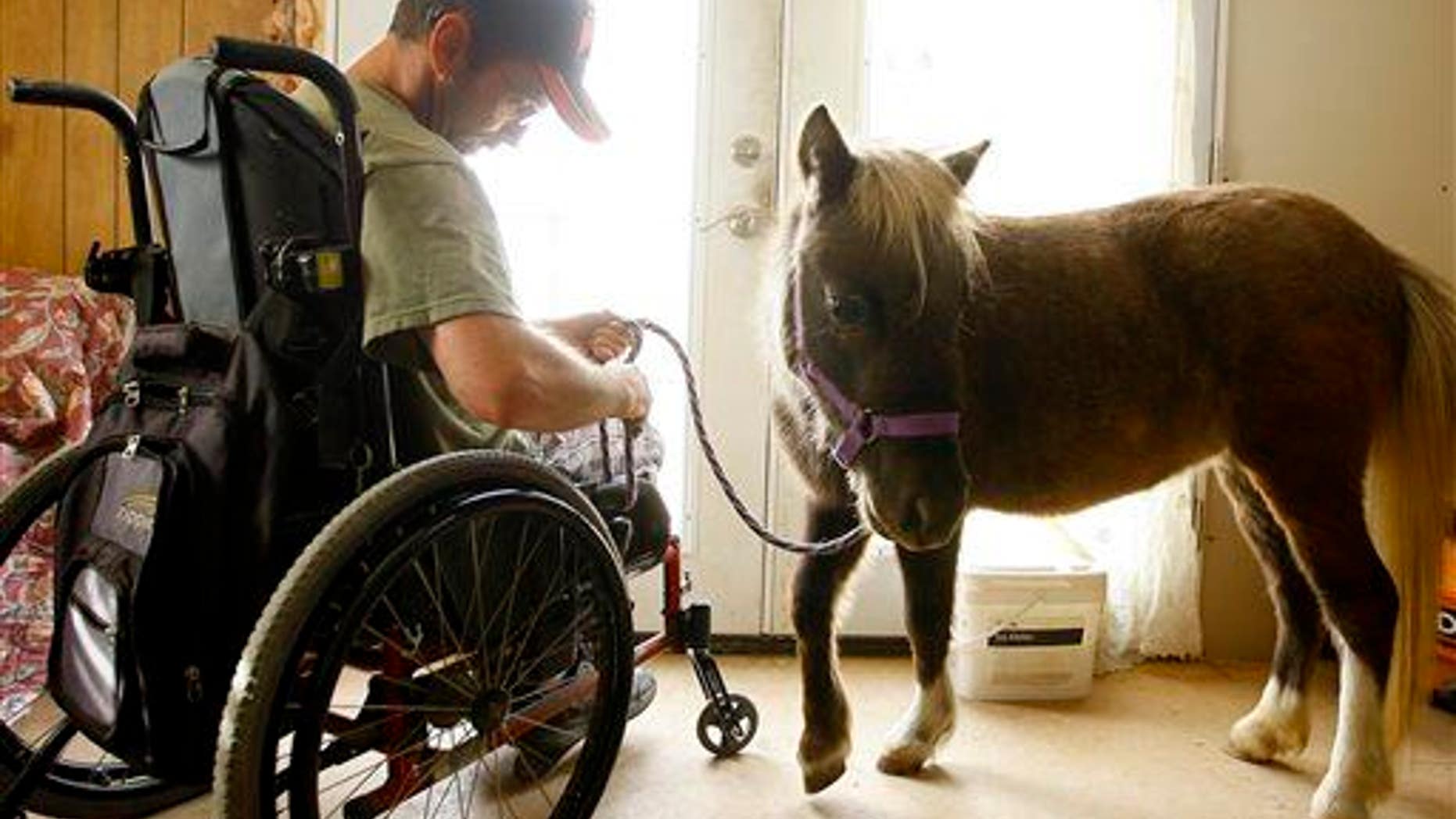 Malcolm Gray prepares to go outside with his miniature horse Danny at his house in Douglas, Wyo.