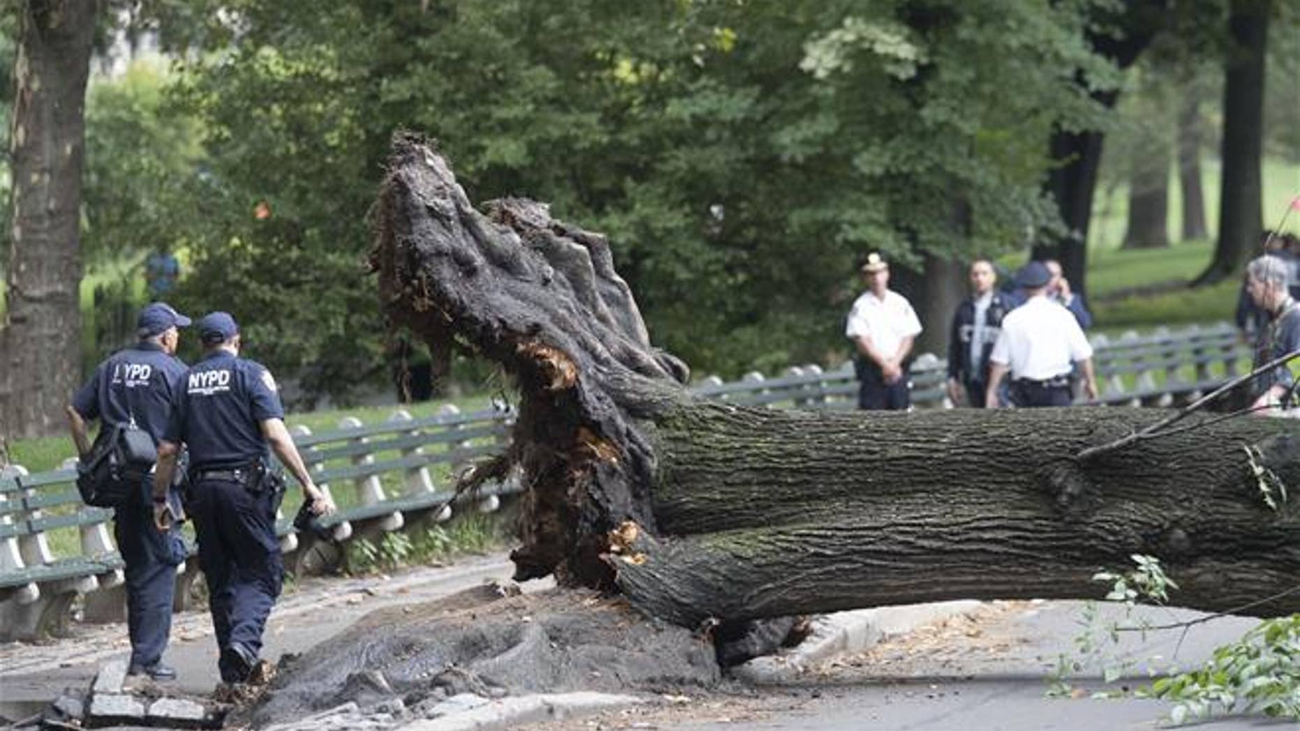New York City Police officers walk past the base of an overturned fallen tree Aug. 15 in New York's Central Park. A woman is suing the city after the tree fell on her and her three young children.