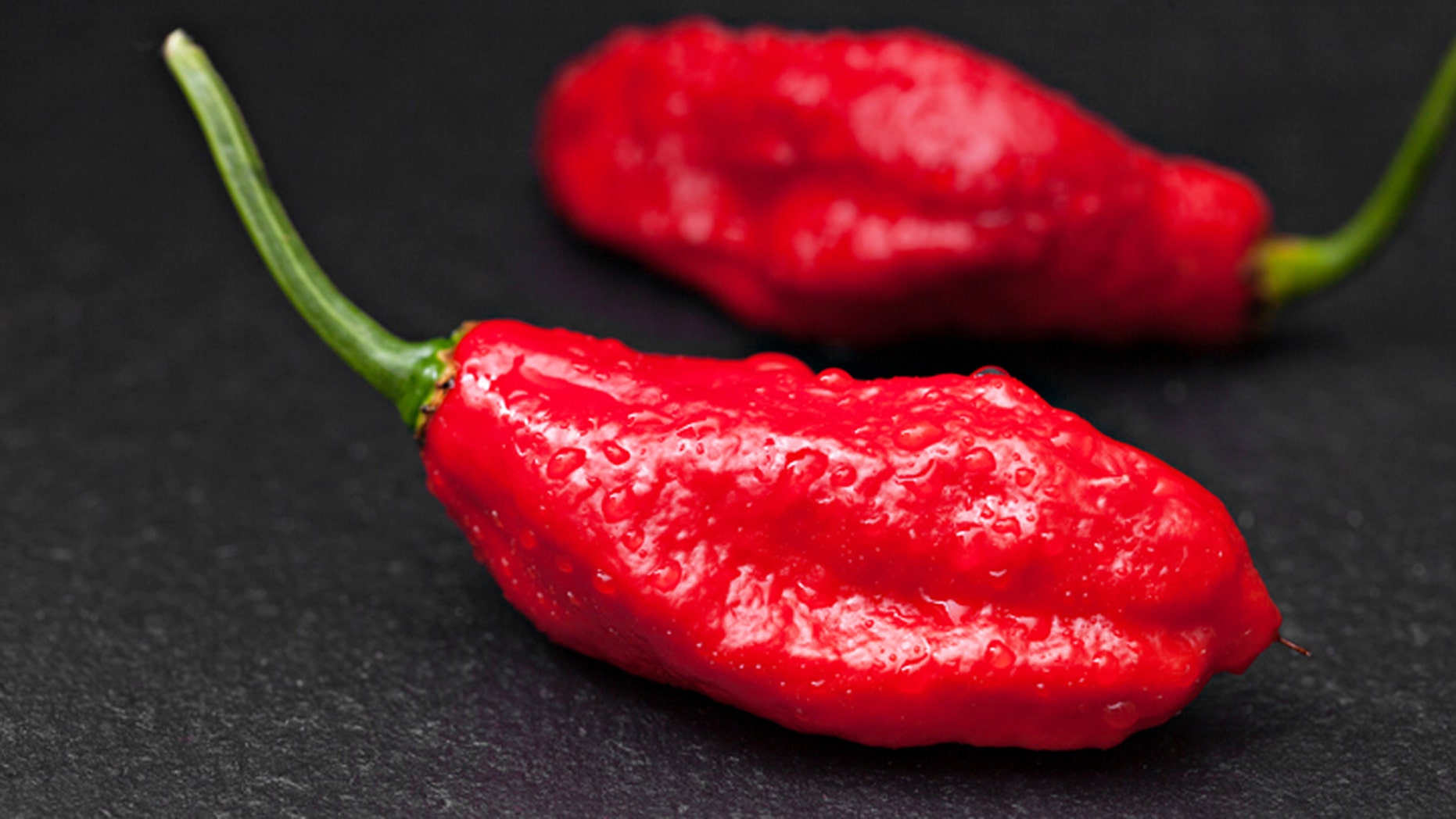 Hasil gambar untuk ghost pepper