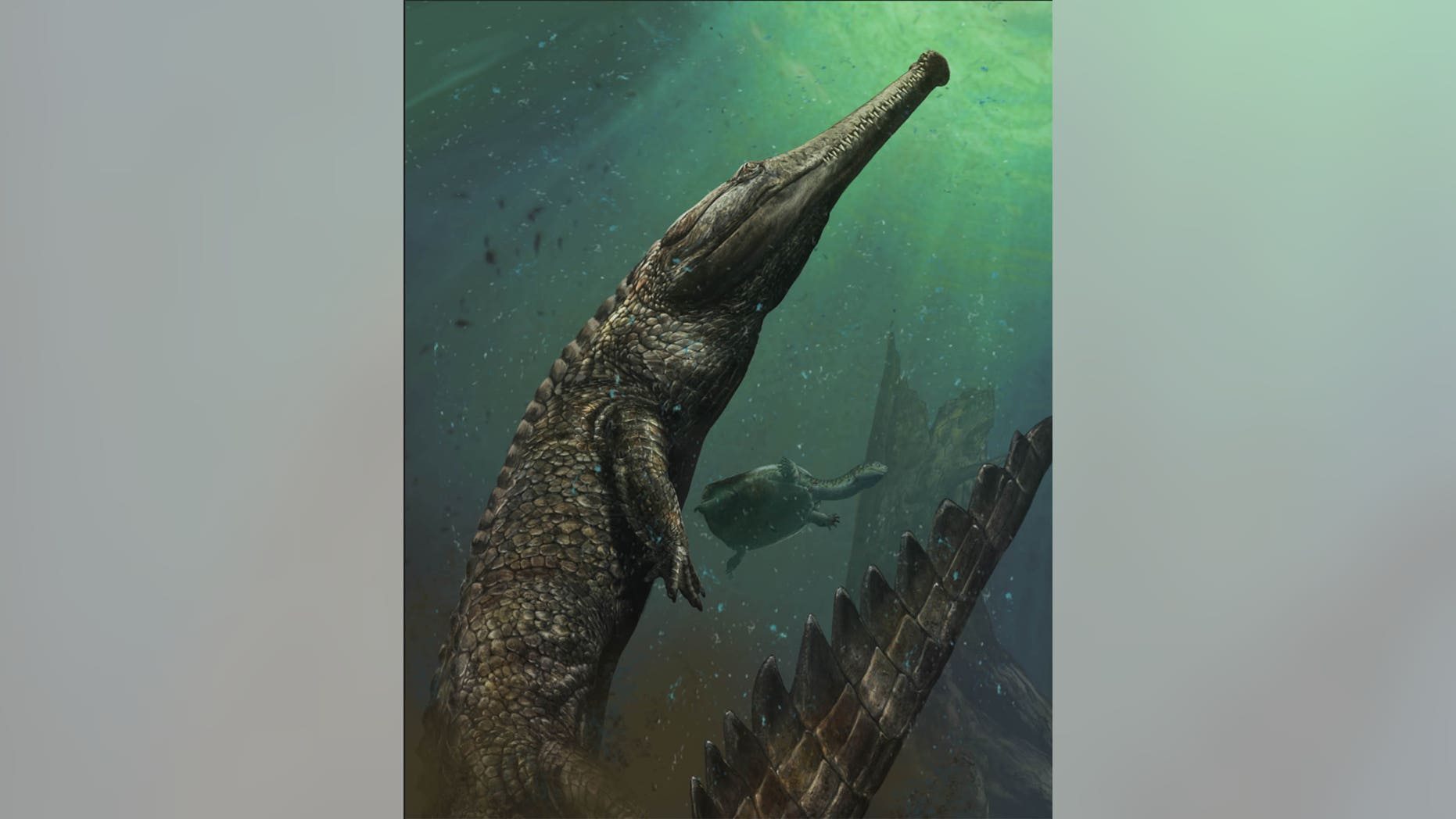 Artistic rendering of Machimosaurus rex by Davide Bonadonna.