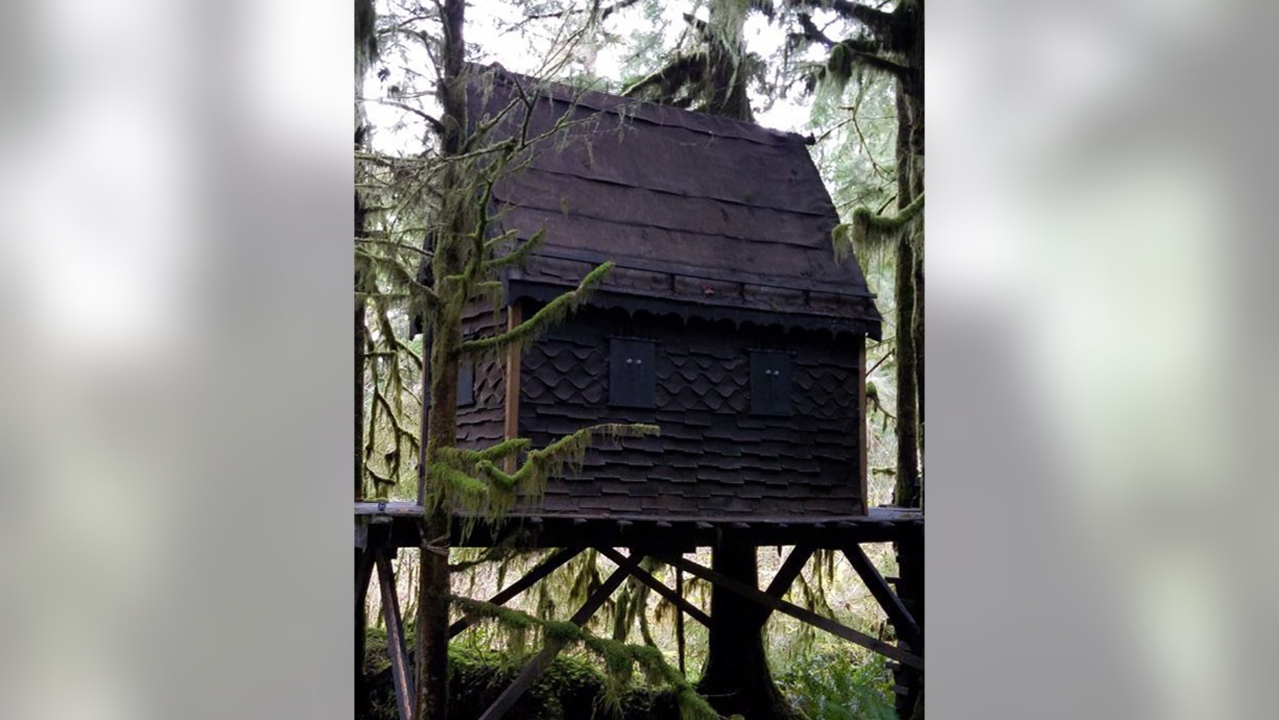 The 'treehouse' in Washington state's Snoqualmie National Forest.
