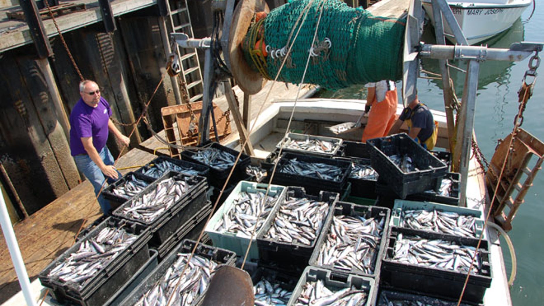 David Goethel, of Hampton, N.H., is seen here on board his commercial fishing boat.