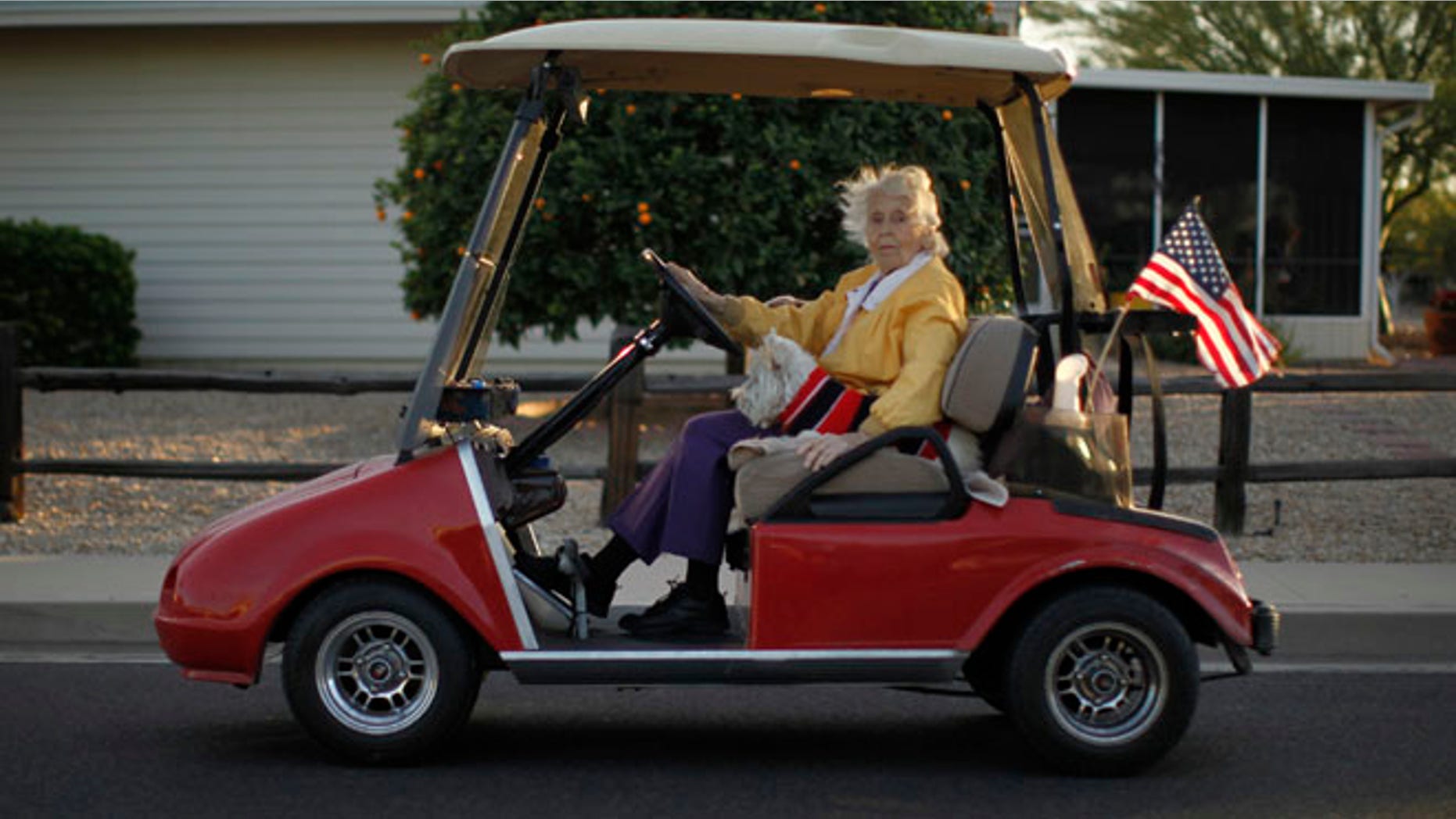A woman rides in a golf cart with her dog in Sun City, Arizona, January 6, 2013.