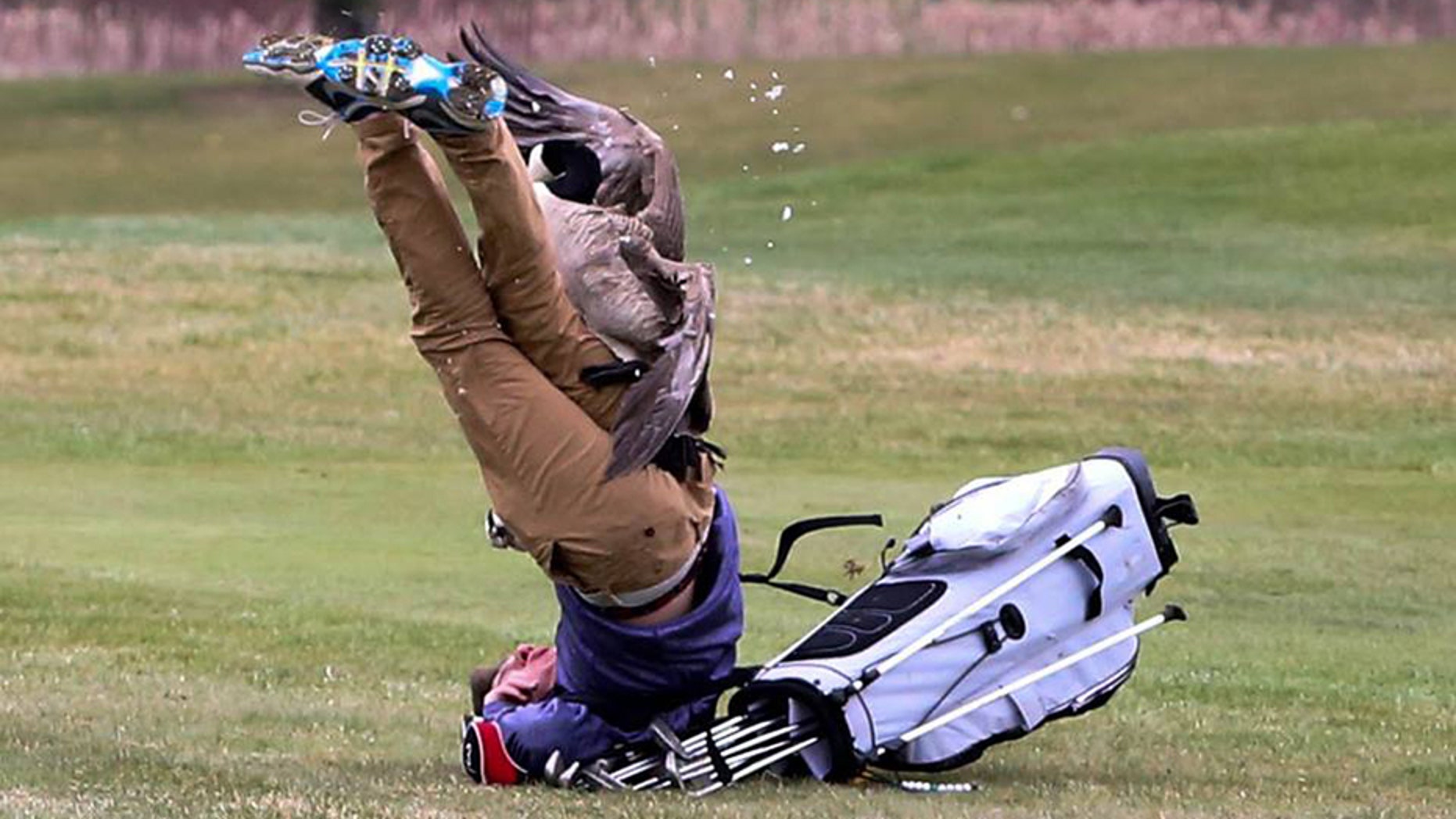A goose upended high school golfer Isaac Couling at a tournament in Michigan over the weekend.