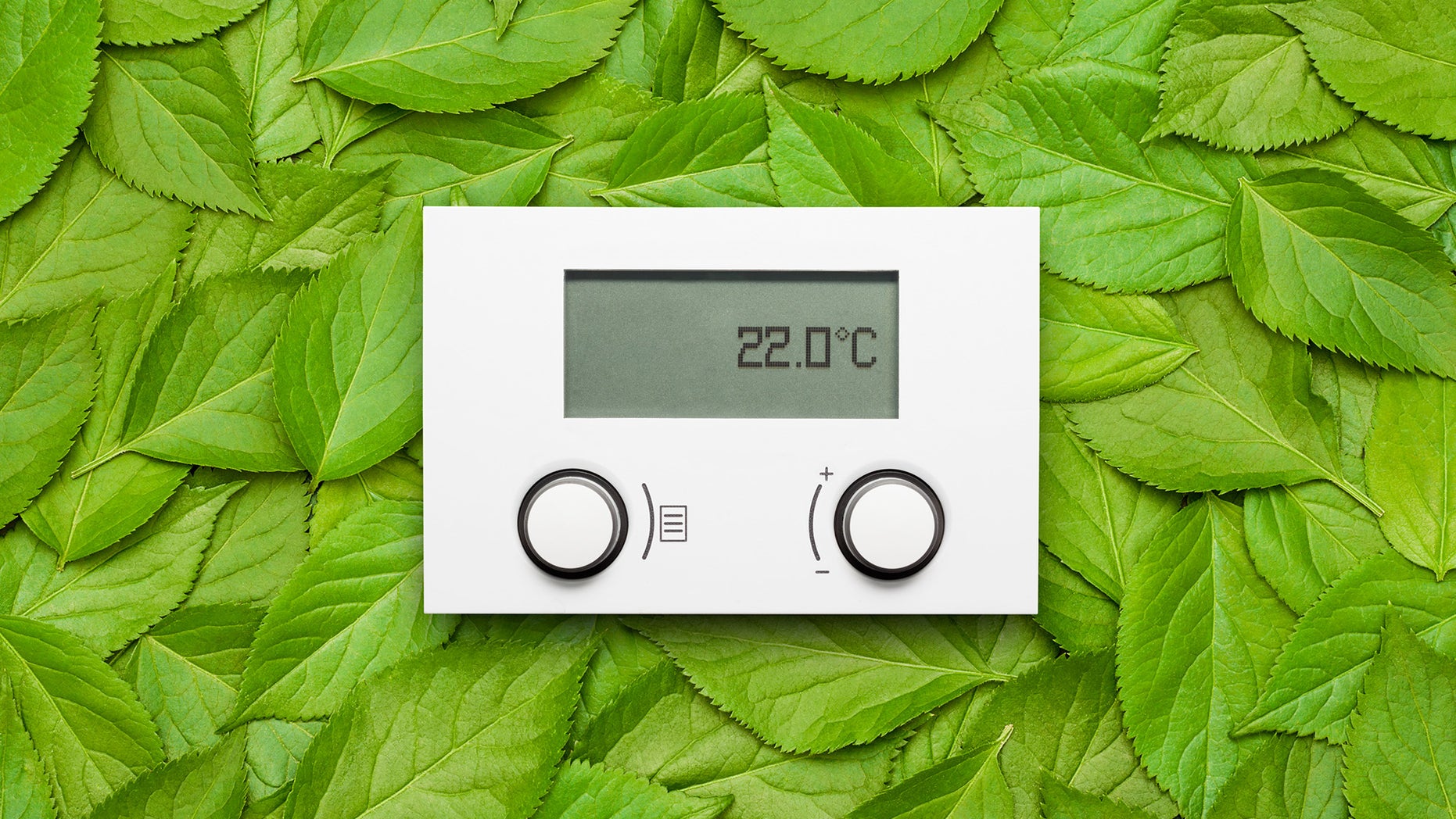 Electronic thermostat on leaves