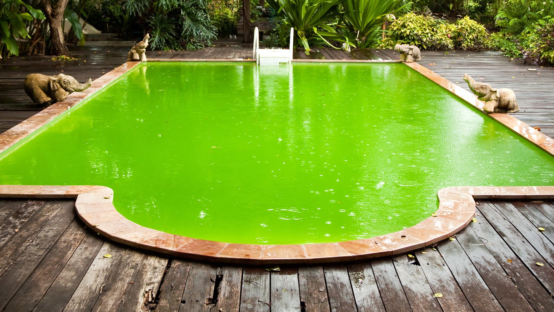 gross-pool