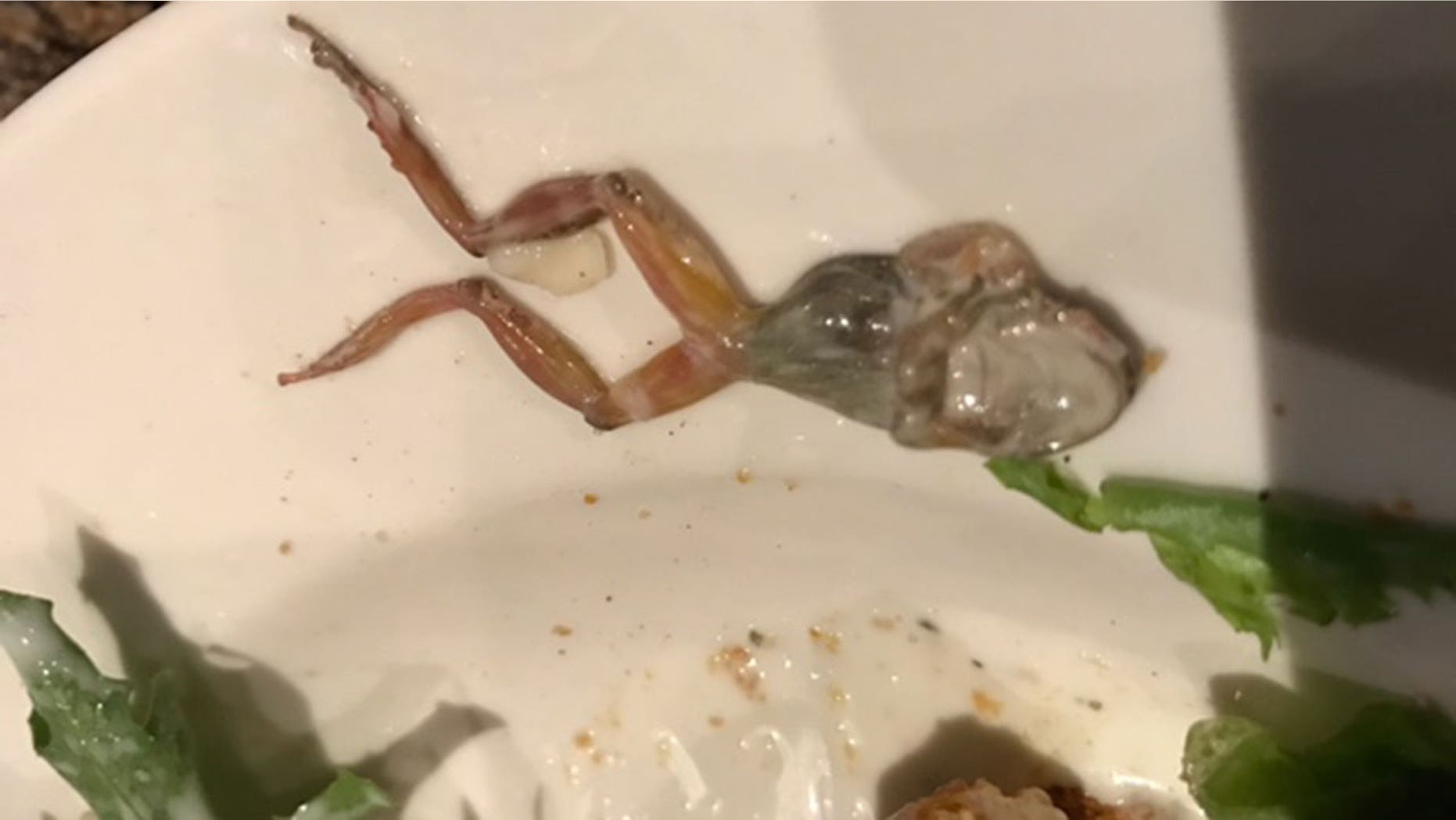 Shawna Cepeda lost her appetite after finding a frog in her BJ's salad.