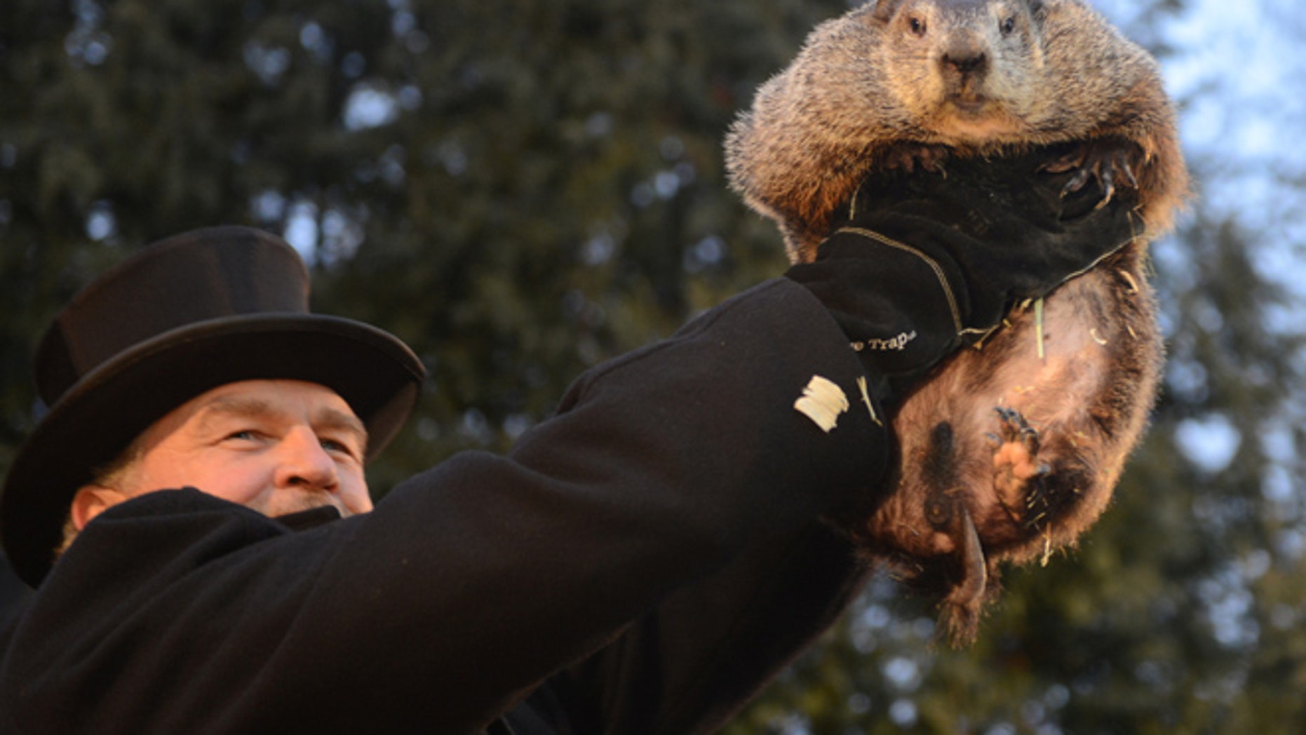Groundhog Day festivities and a look at Punxsutawney Phil