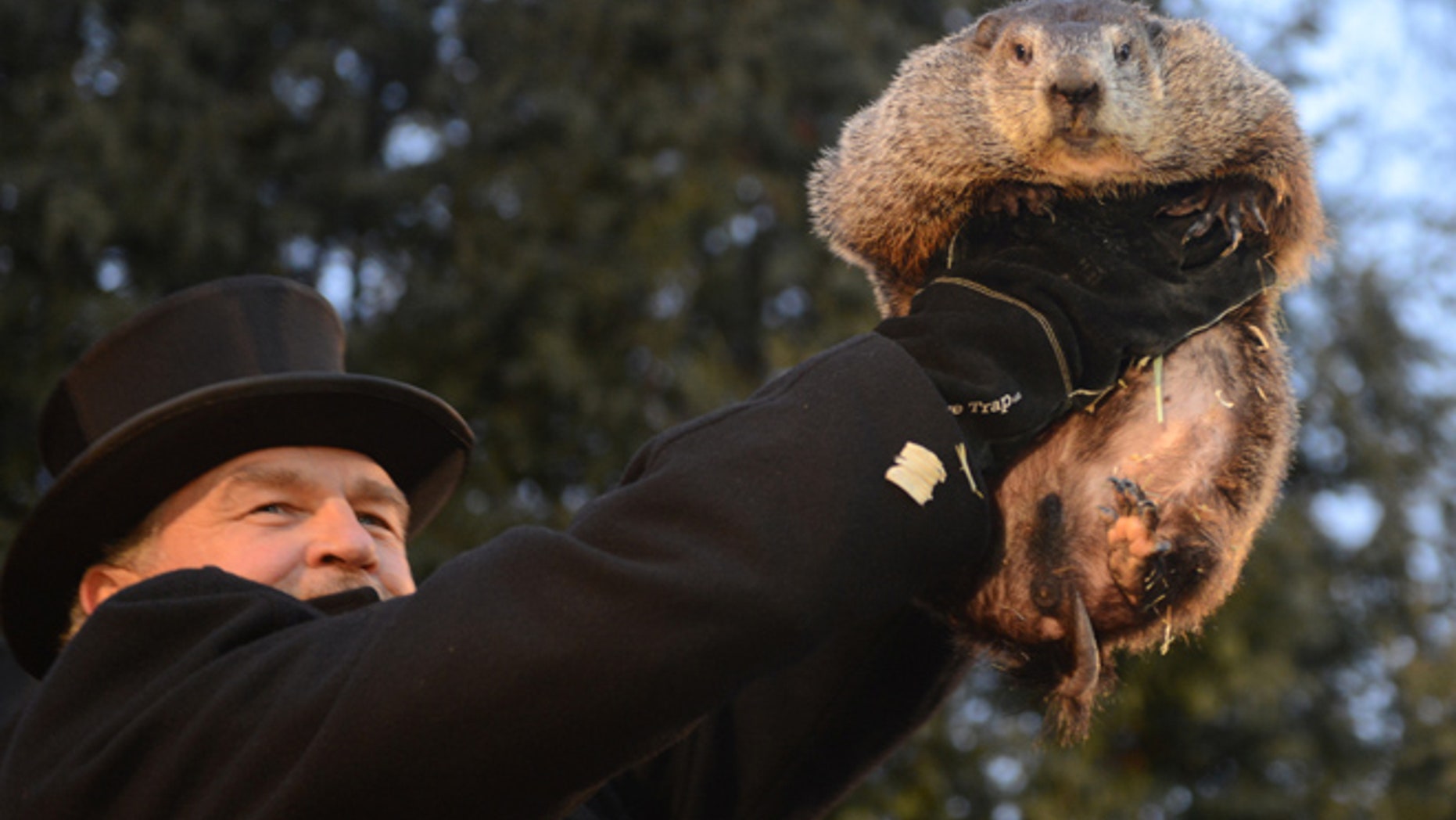 Handler John Griffiths introduces Punxsutawney Phil to the crowd at Gobbler's Knob.