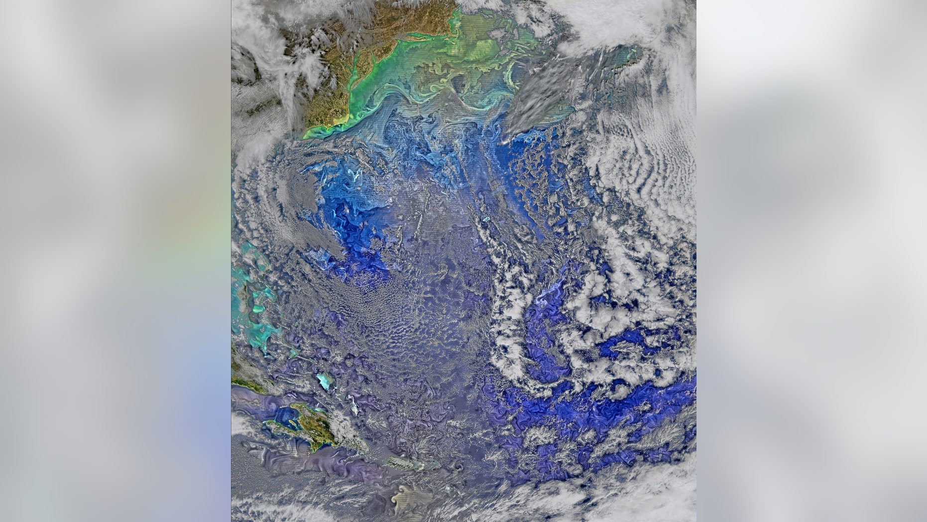 File photo: The Gulf Stream waters flow in somewhat parallel layers, slicing across what is otherwise a fairly turbulent western North Atlantic Ocean in this image collected by the Visible Infrared Imaging Radiometer Suite on NASA-NOAA's Suomi NPP satellite March 9, 2016, and released April 5, 2016. The turbulence is made visible by the pigmented phytoplankton it entrains, according to a NASA news release. Picture taken March 9, 2016. (REUTERS/NASA/NOAA/Handout)