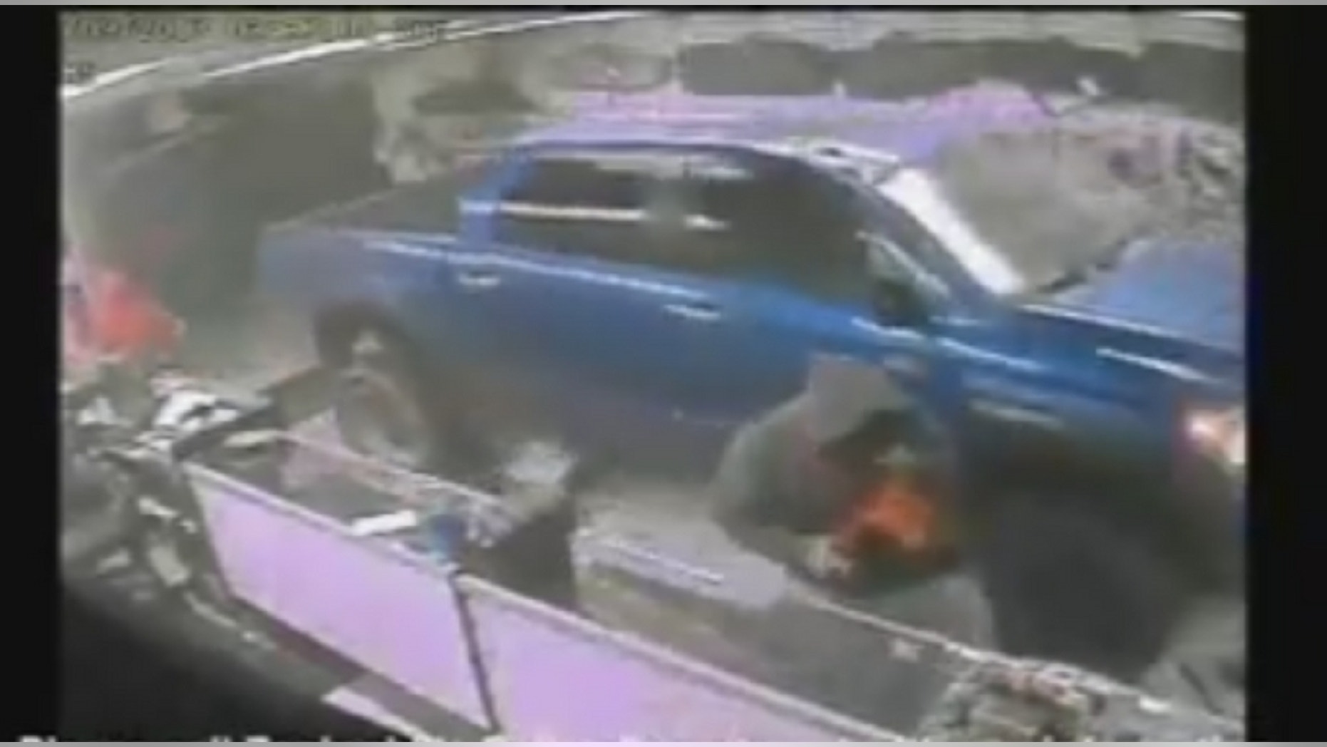 Surveillance video captured at least three thieves stealing guns and ammunition from a Florida gun shop on Sunday. (Zephyrhills Police Department)