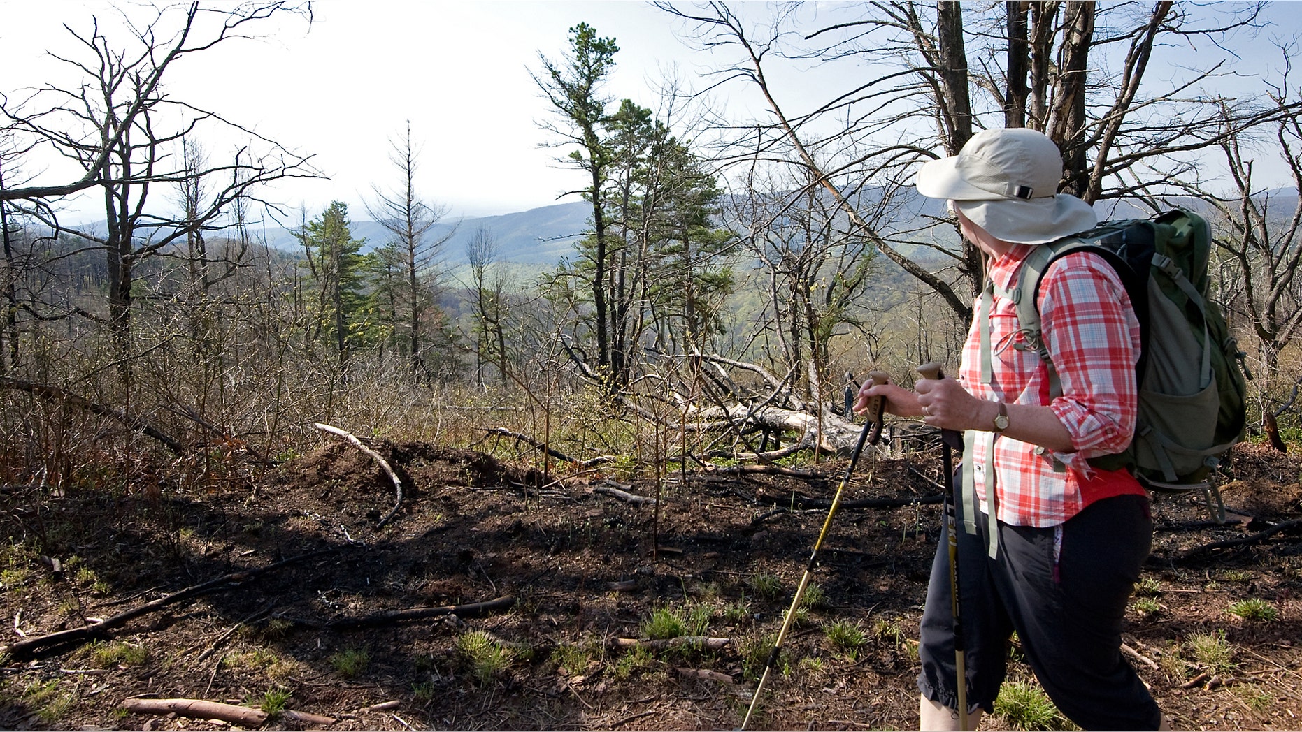 May 10, 2013: Lynn Cameron of Mount Crawford, Va., looks out at the view while hiking the Mines Run Trail, on Shenandoah Mountain, Va., which is in the George Washington National Forest in Rockingham County, Va