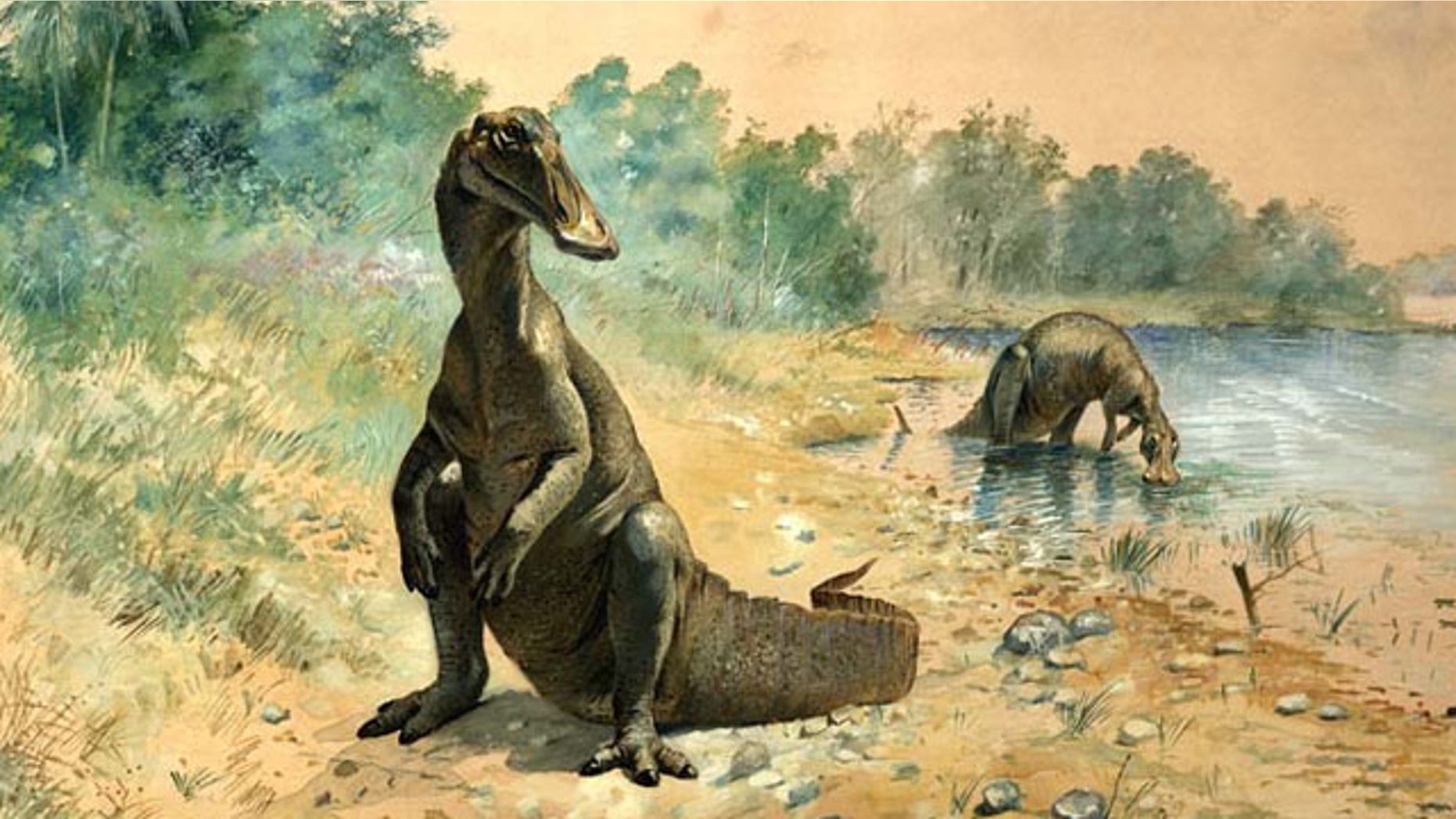 An early restoration of a duck-billed hadrosaur.