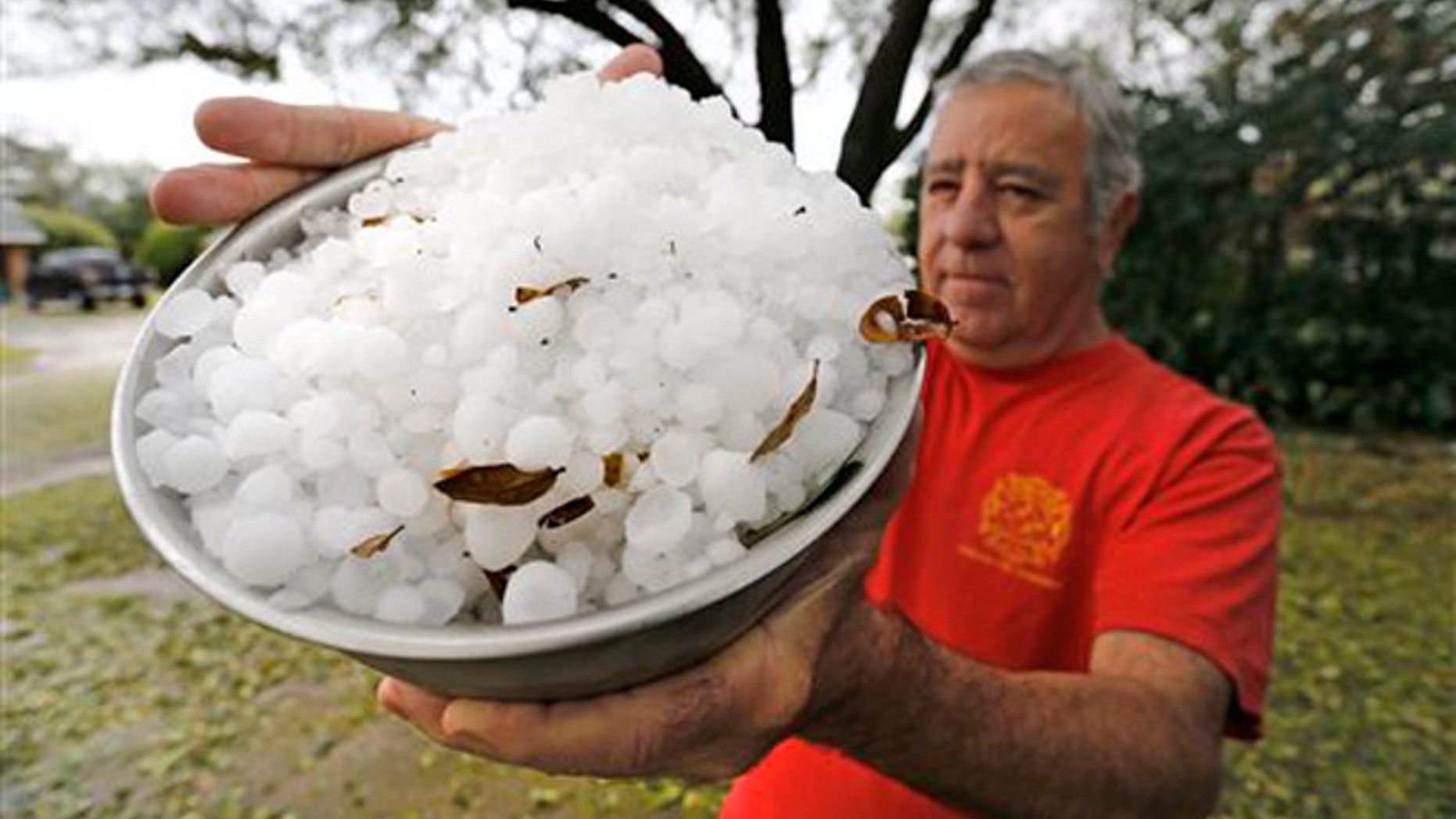 L.C. Martin holds a bowl-full of hail stones from his neighborhood south of TCU, Thursday, March 17, 2016 in Fort Worth, Texas. Hail the size of golf balls coated parts of North Texas, broke windows, damaged police vehicles and killed exotic birds at the Fort Worth Zoo.