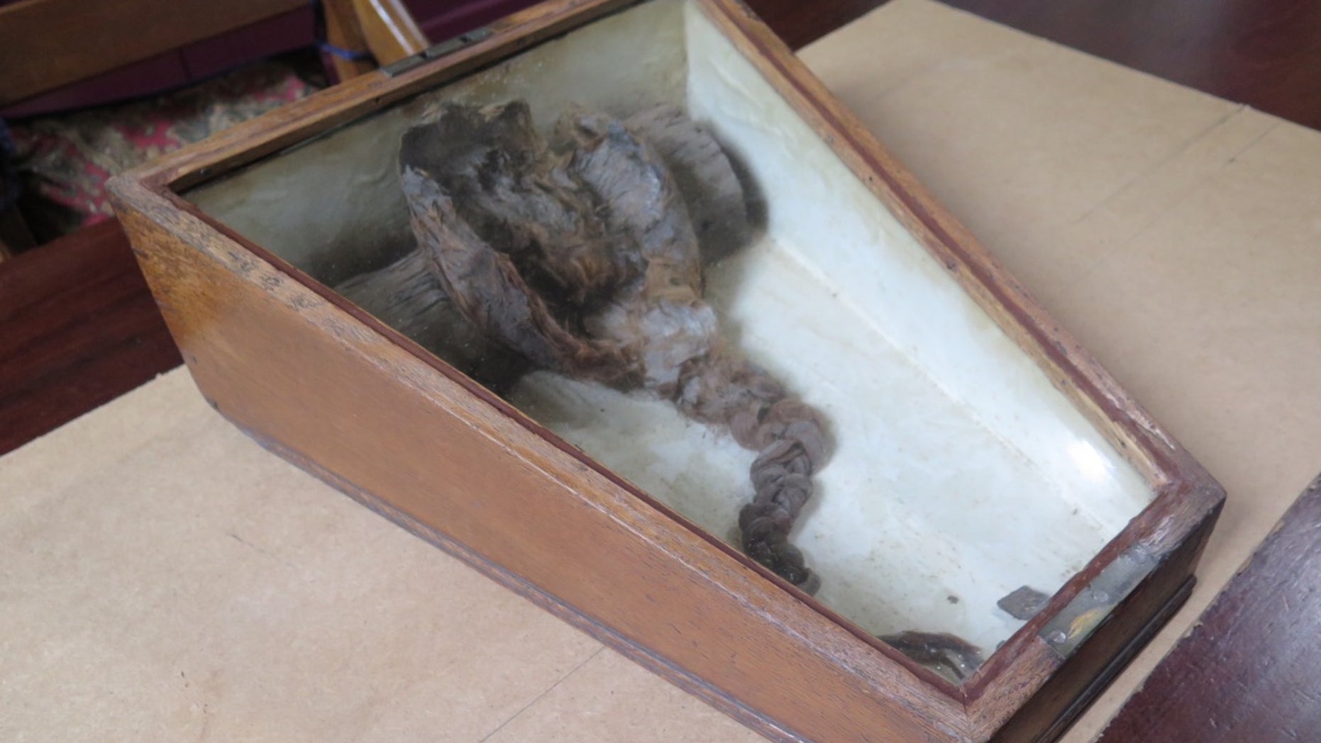 A braided head of hair found buried beneath a medieval abbey in England is thought to belong to an individual who died between 895 and 1123 A.D.