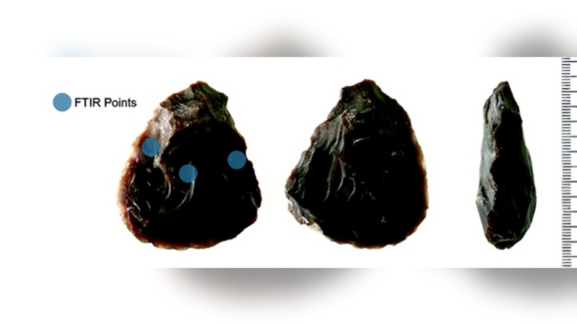 500,000-year-old hand axes discovered in a quarry in Israel still had traces of elephant fat clinging to them. The ancient tools show that humans used these tools to butcher animals.