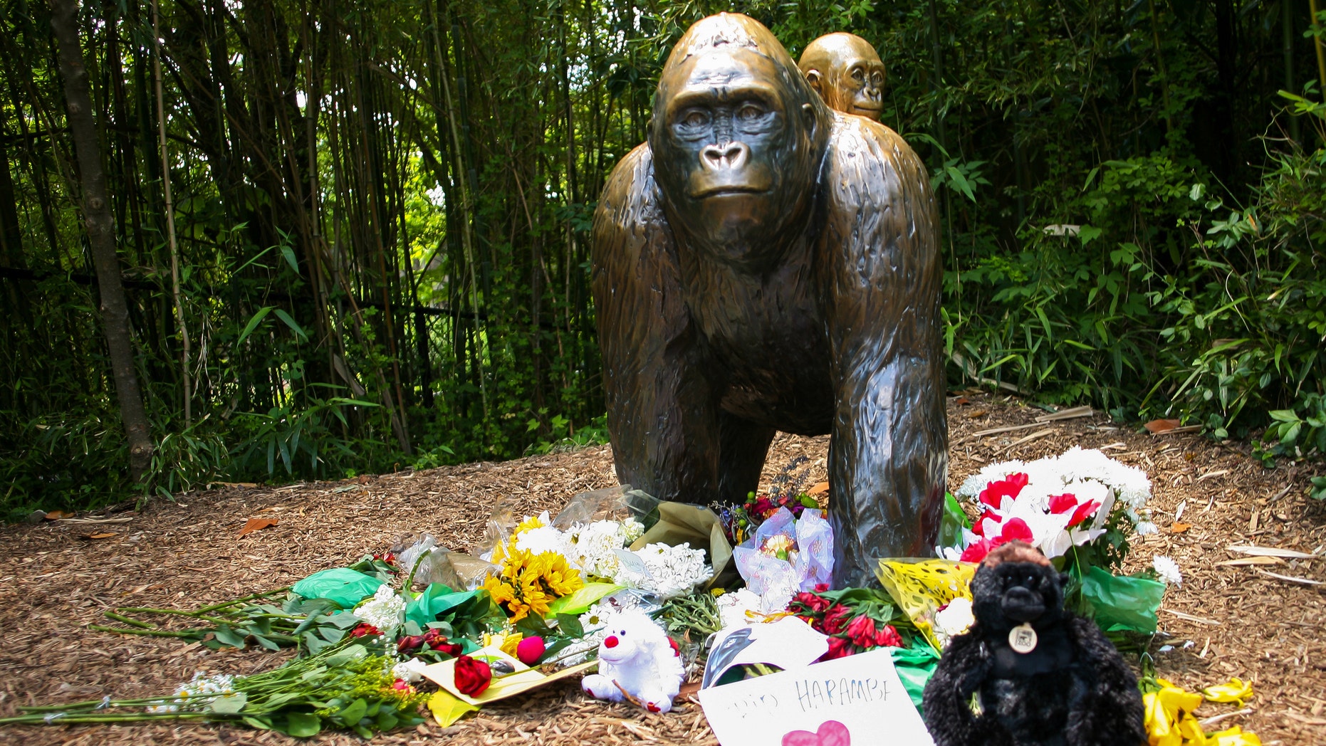 File photo - Flowers lay around a bronze statue of a gorilla and her baby outside the Cincinnati Zoo's Gorilla World exhibit, two days after a boy tumbled into its moat and officials were forced to kill Harambe, a Western lowland gorilla, in Cincinnati, Ohio, U.S. May 30, 2016. (REUTERS/William Philpot)