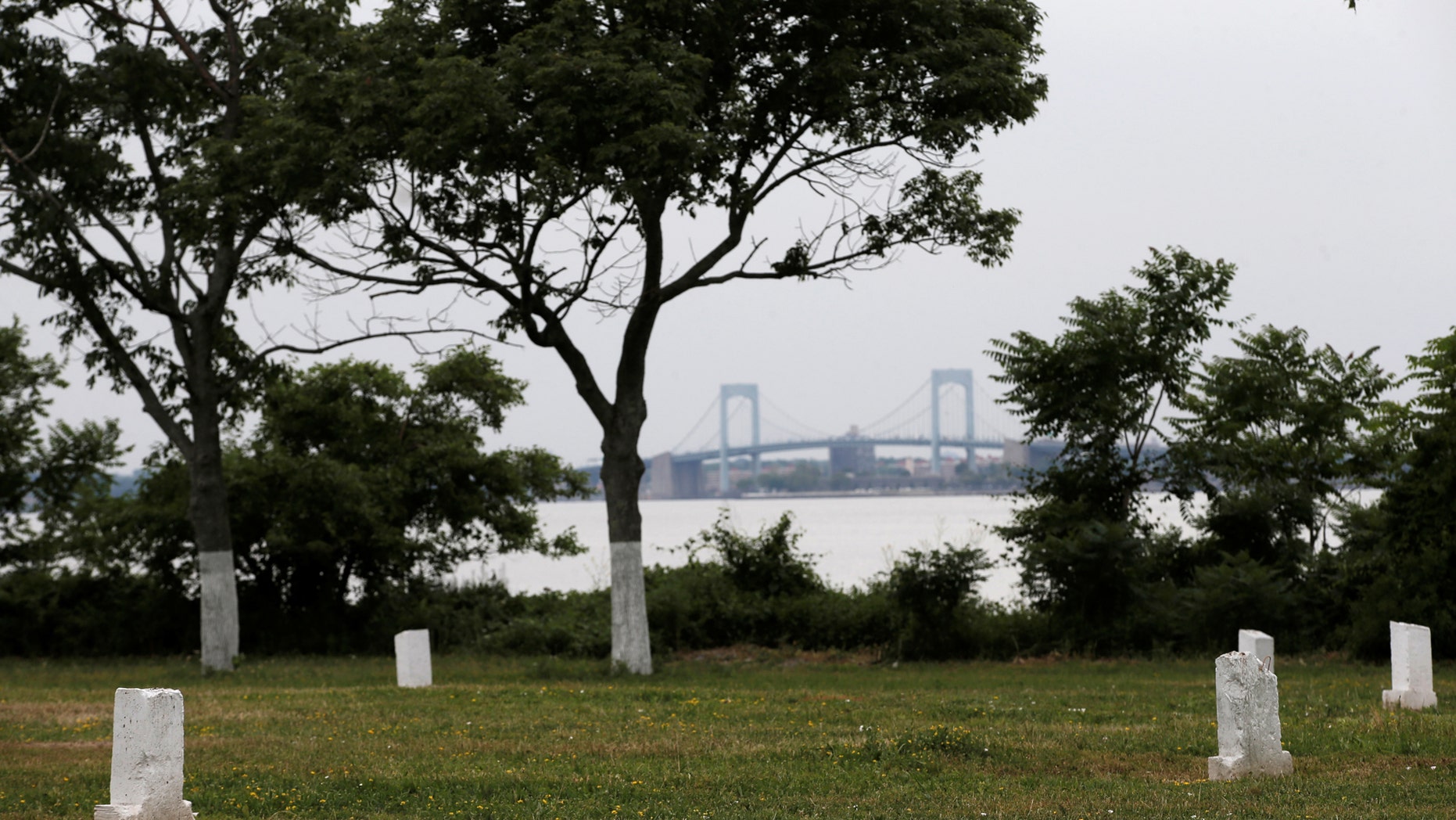 File photo: Stones mark mass graves on Hart Island, the former location of a prison and hospital that is a potter's field burial site of as many as one million people, in New York, United States, June 23, 2016. (REUTERS/Mike Segar)
