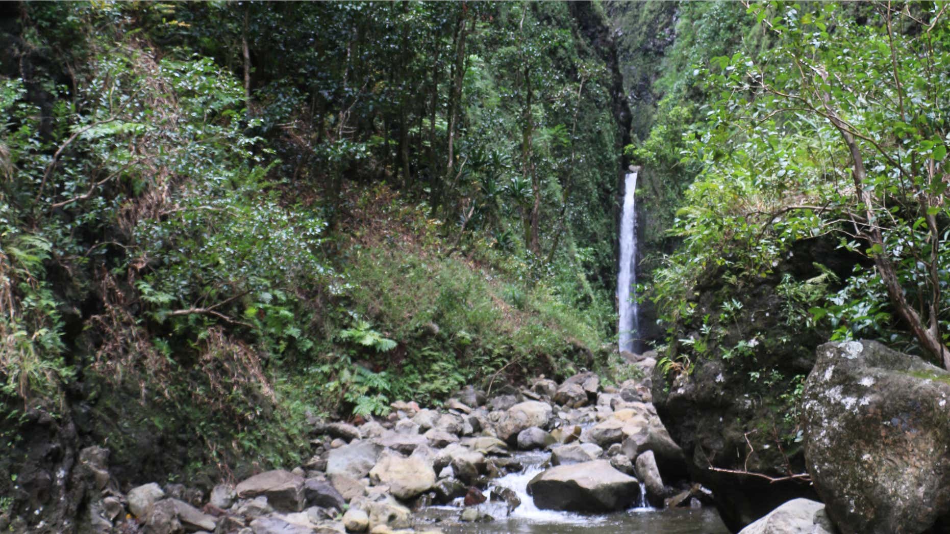 Oct. 11, 2014: Photo provided by the Hawaii state Department of Land and Natural Resources shows Sacred Falls in Hauula, Hawaii.