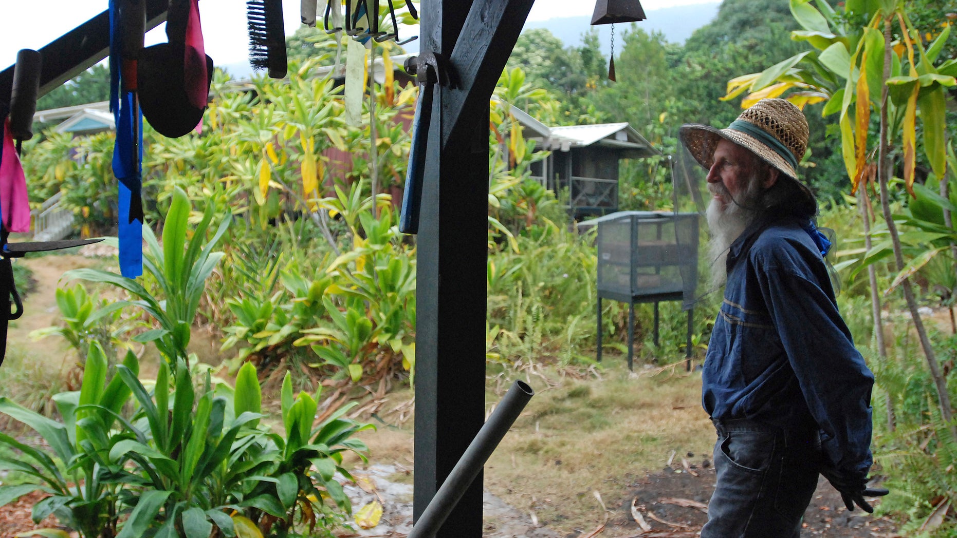 In this Feb. 17, 2016 photo, organic farmer Steve Mann wears mosquito netting while surveying the grounds on his Old Ways Farm in Captain Cook, Hawaii. Hawaii's strong anti-pesticide sentiment, tropical conditions, under-staffing in the Department of Health and an island culture where many live off the grid are part of the many challenges facing the teams that fight dengue fever. Those same issues would confront Hawaii if the Zika virus were to arrive on the islands, and many fear the virus linked to birth defects could be just a plane ride away. (AP Photo/Cathy Bussewitz)