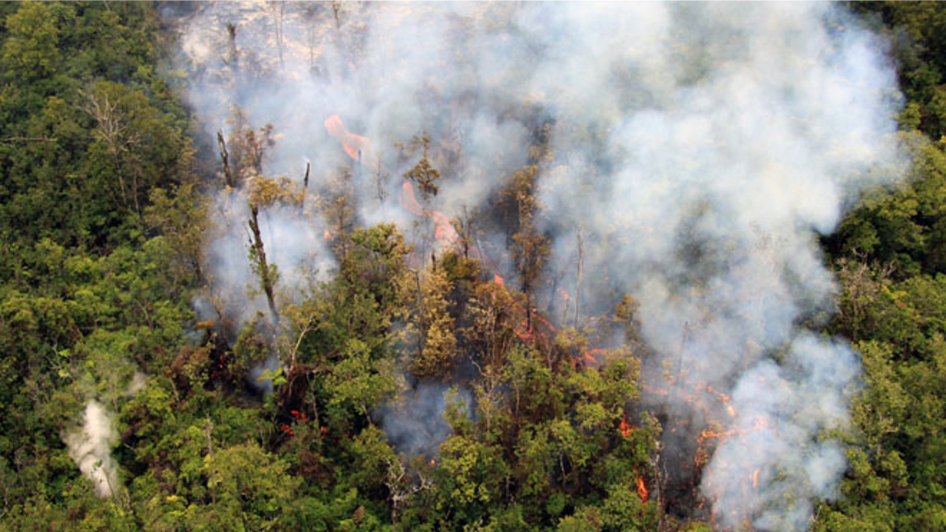 Sept. 3, 2014: In this photo released by the U.S. Geological Survey, fluid lava streams from the June 27 lava flow from the Kilauea volcano in Pahoa, Hawaii.