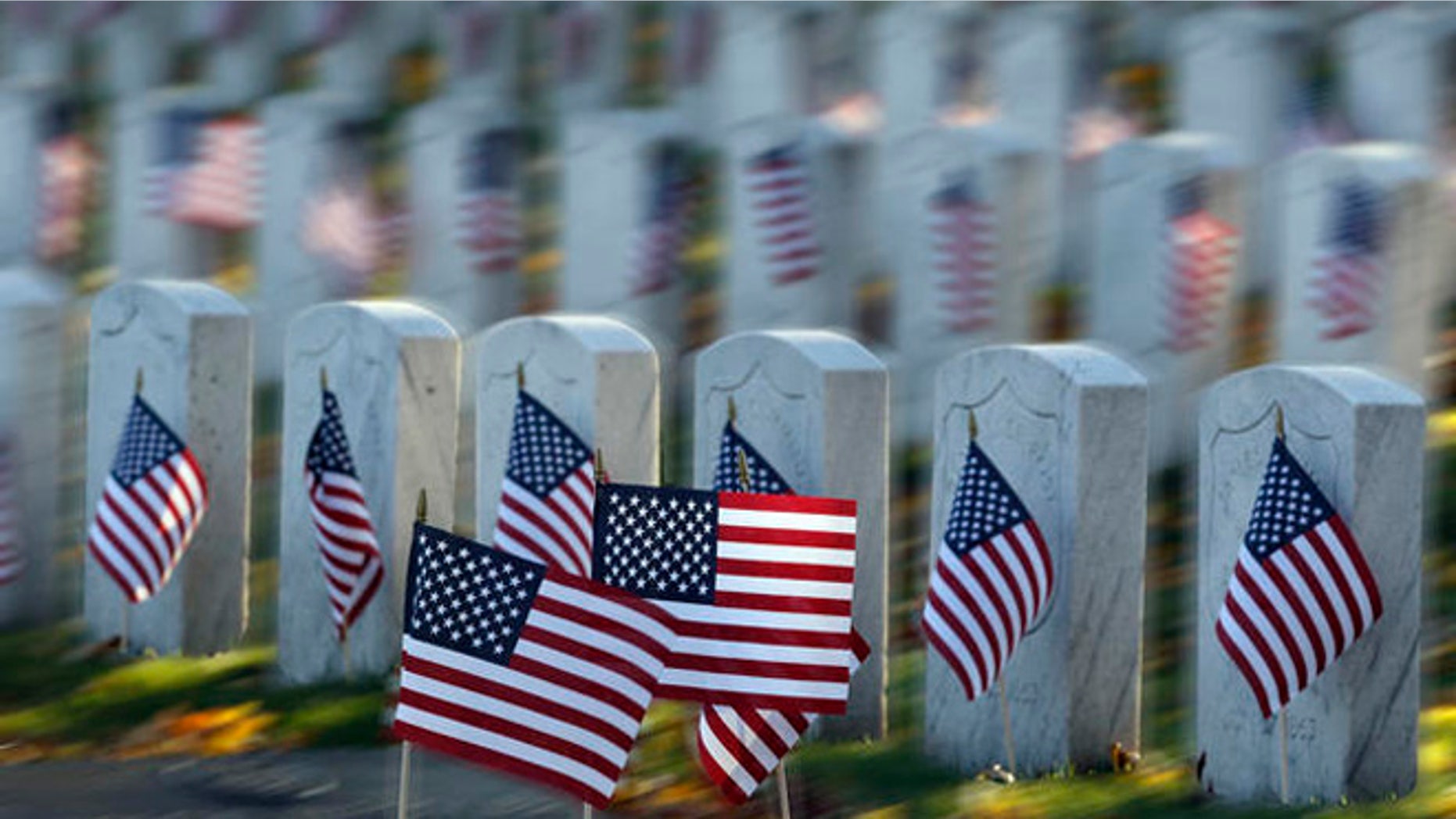 American flags are on display at Rosehill cemetery for Veterans Day in Chicago on Friday, Nov. 11, 2011. (AP Photo/Nam Y. Huh)