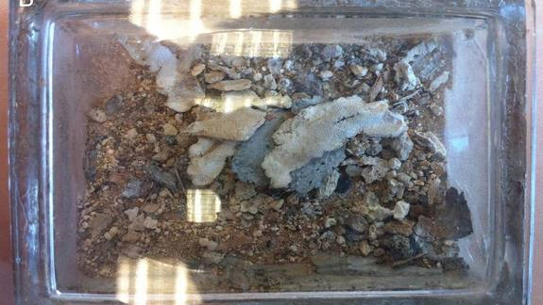 The dusty remains of Richard I's heart now rest in this crystal box.