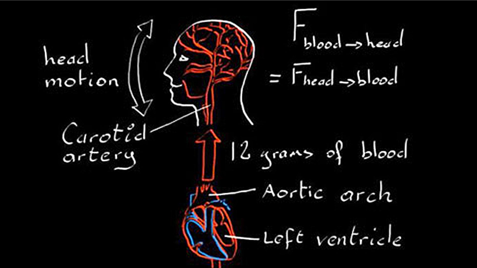 Watching heads wobble measures pulse.