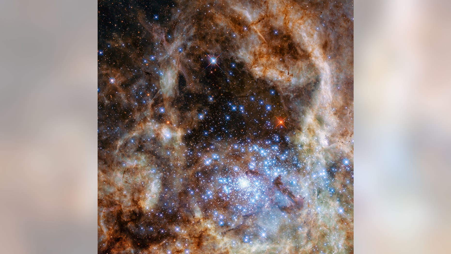 The image shows the central region of the Tarantula Nebula in the Large Magellanic Cloud. The young and dense star cluster R136 can be seen at the lower right of the image. This cluster contains hundreds of young blue stars, among them the most massive star detected in the Universe so far. (NASA, ESA, P Crowther, University of Sheffield)
